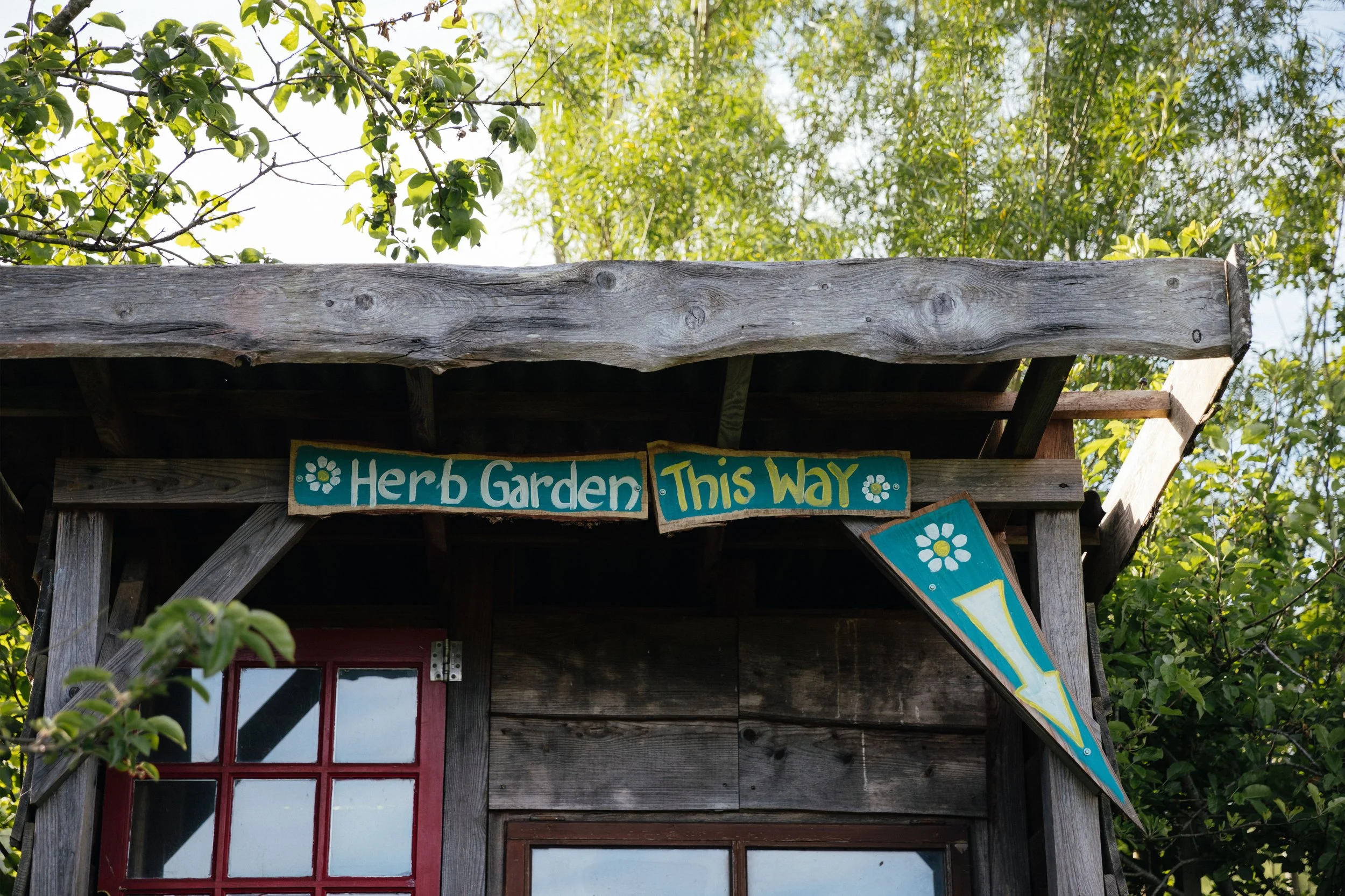 Summer Herb Garden Open Day