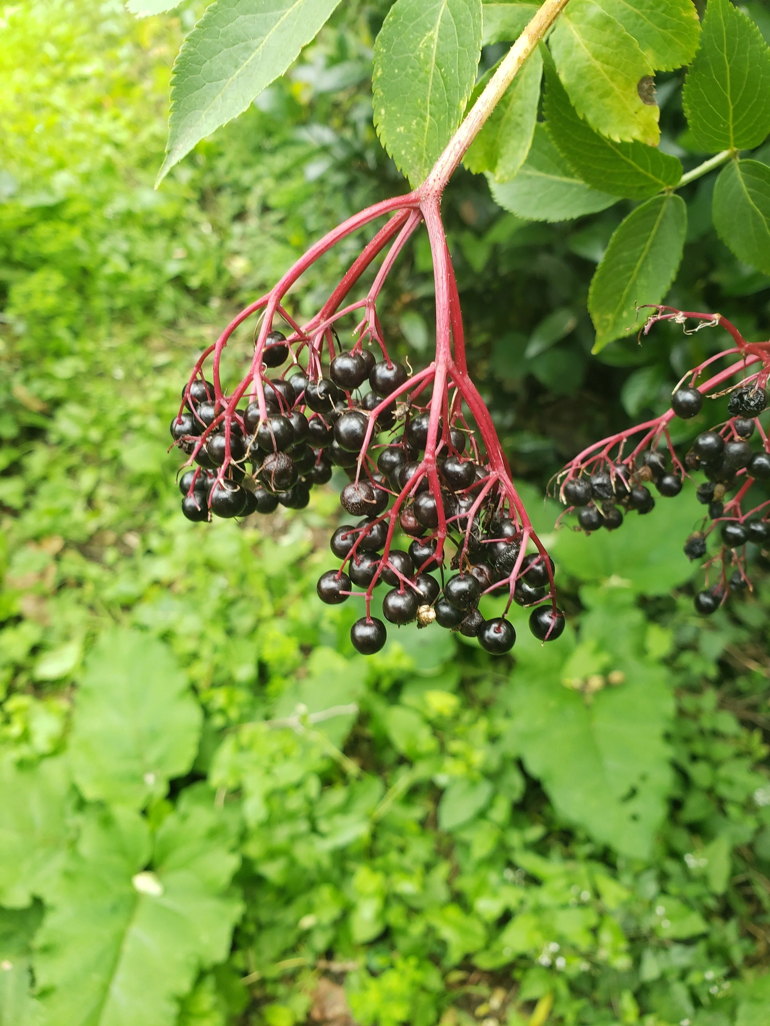 20230803_110554.jpg