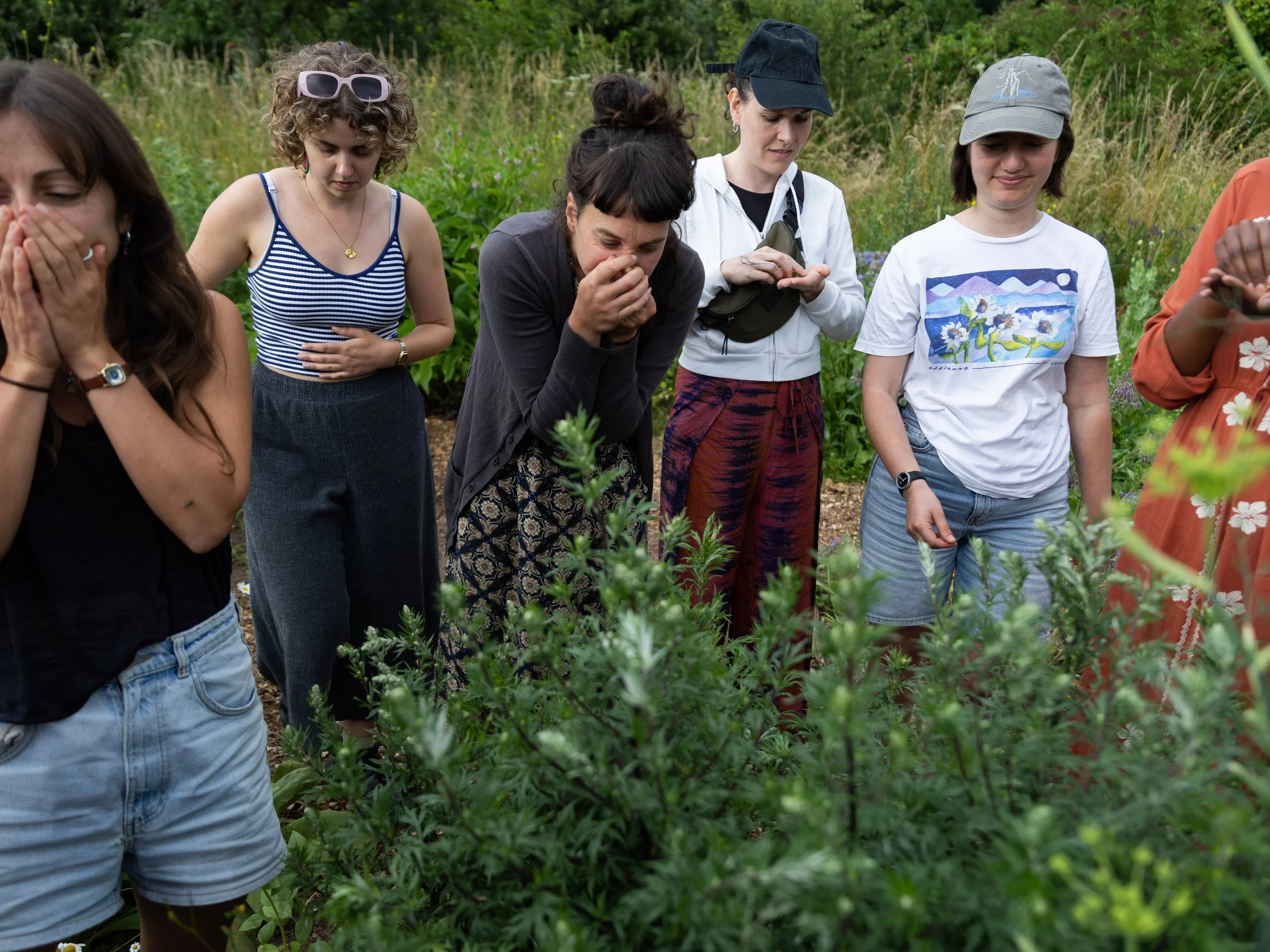 Spring sensory herbalism and remedy making workshop