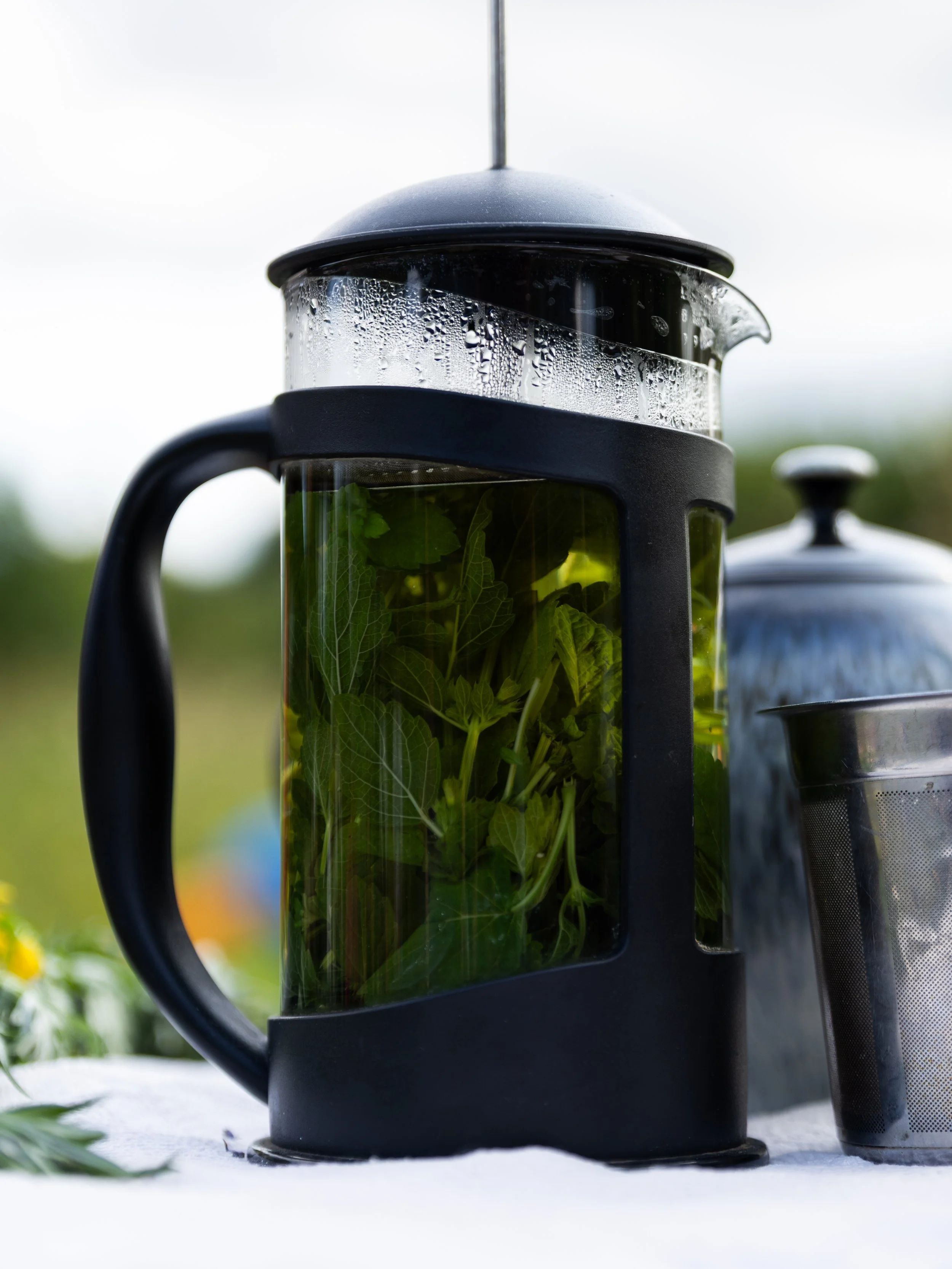 Talia Woodin, @taltakingpics, 2024-2330.jpg