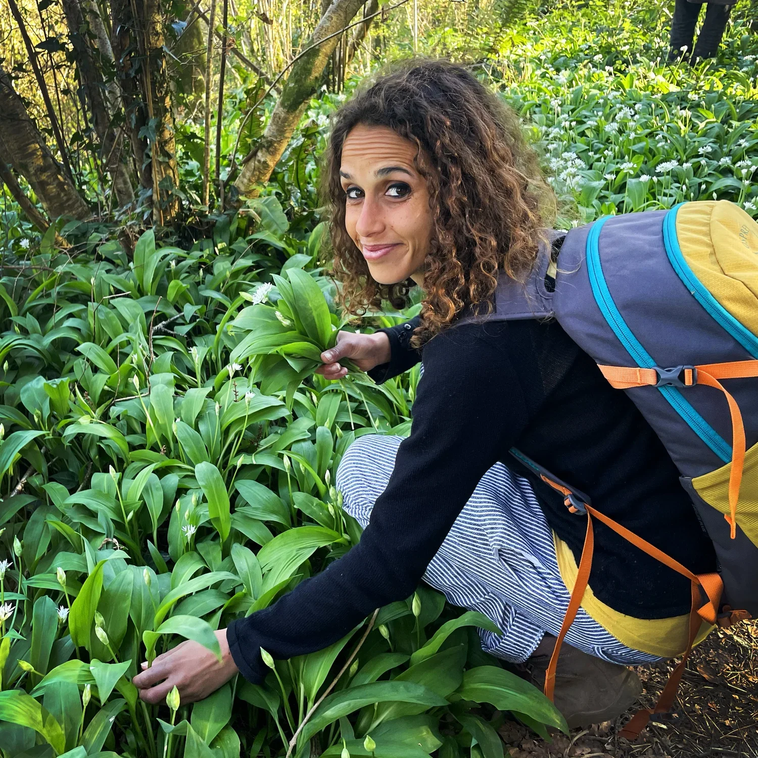 Spring Herbal Ferments Workshop
