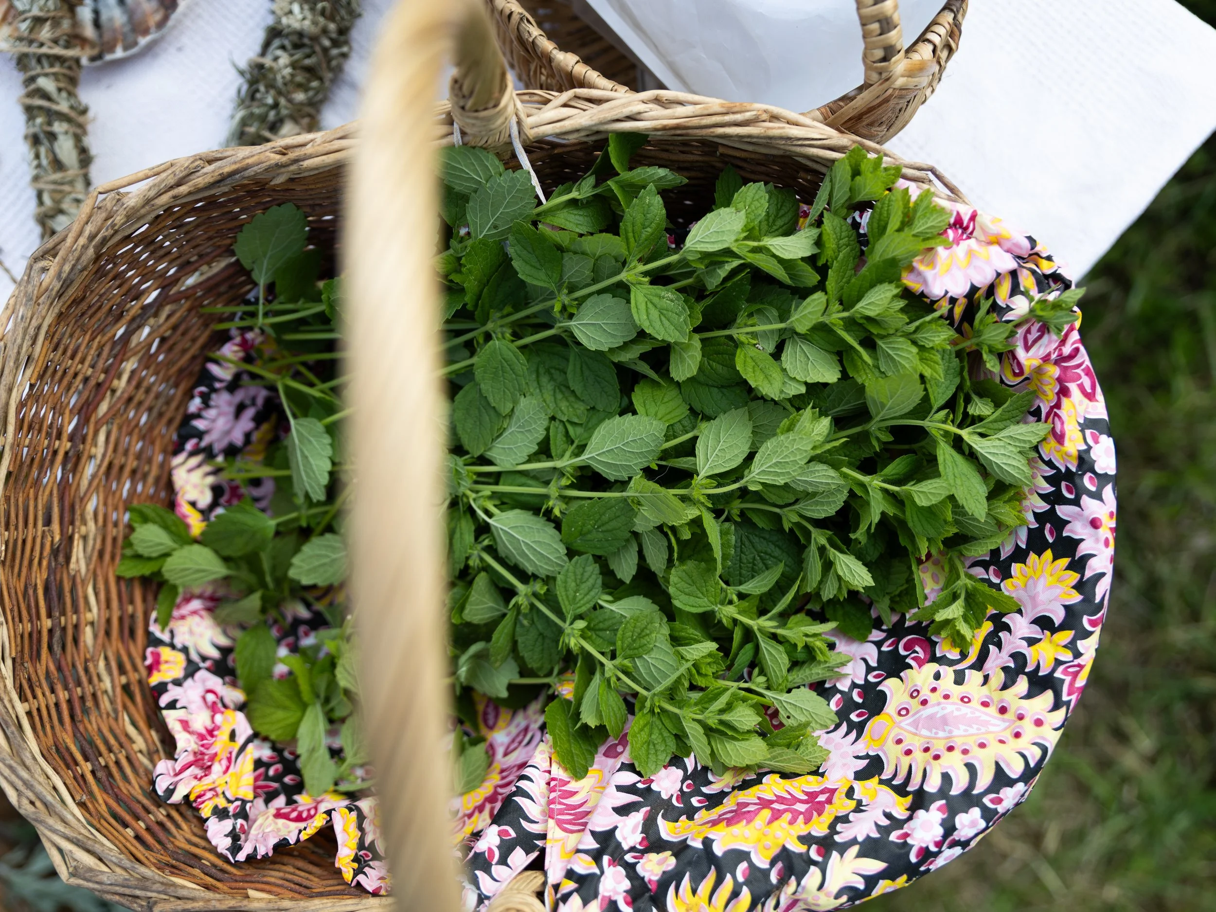 Talia Woodin, @taltakingpics, 2024-2331.jpg