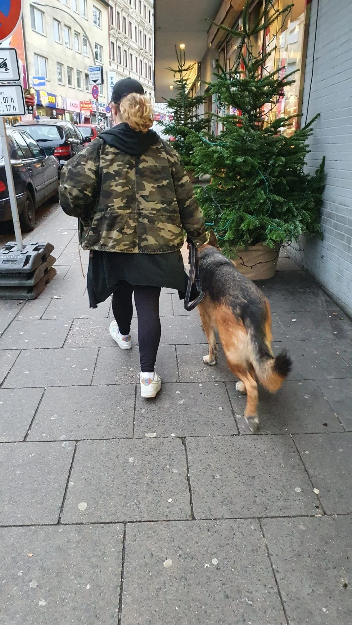 Hund zieht an der Leine: Was hilft wirklich?