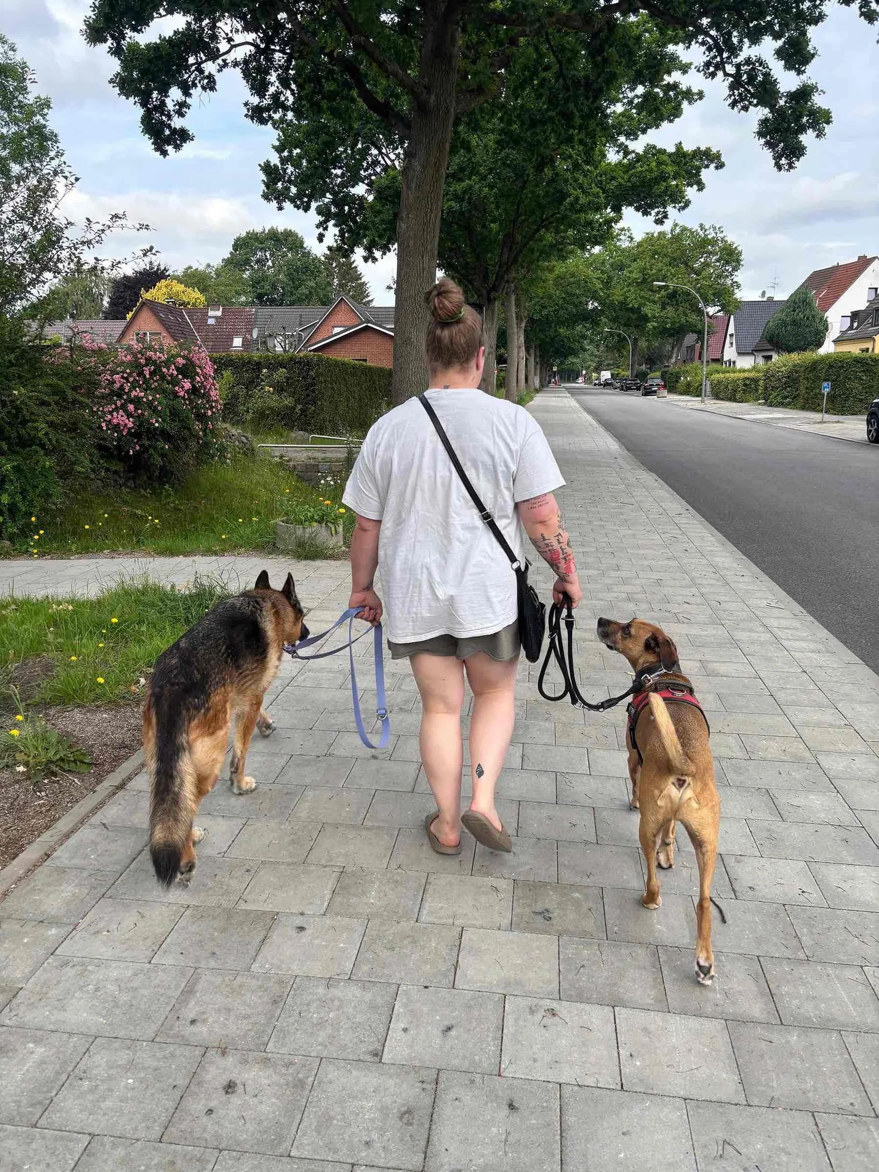 Social Walks Hamburg