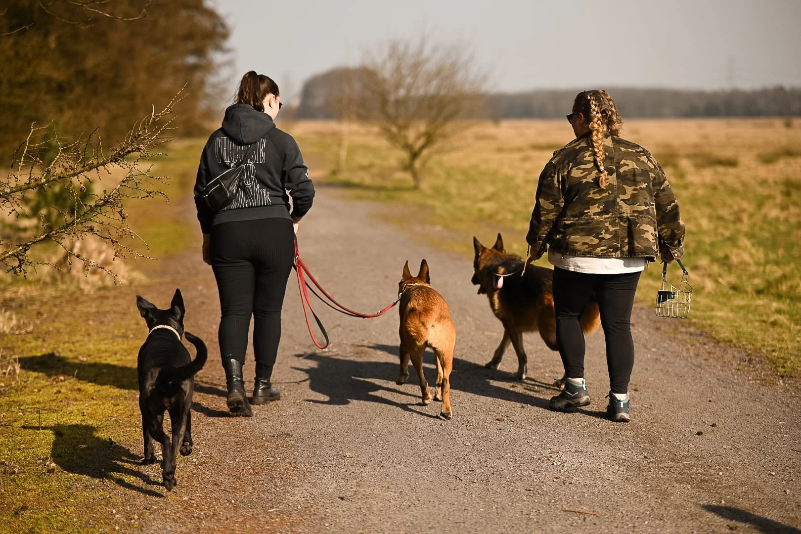 Private Hundetrainerin Hamburg beim Einzeltraining – zwei Frauen spazieren mit drei Hunden an der Leine, eine hält einen Maulkorb in der Hand