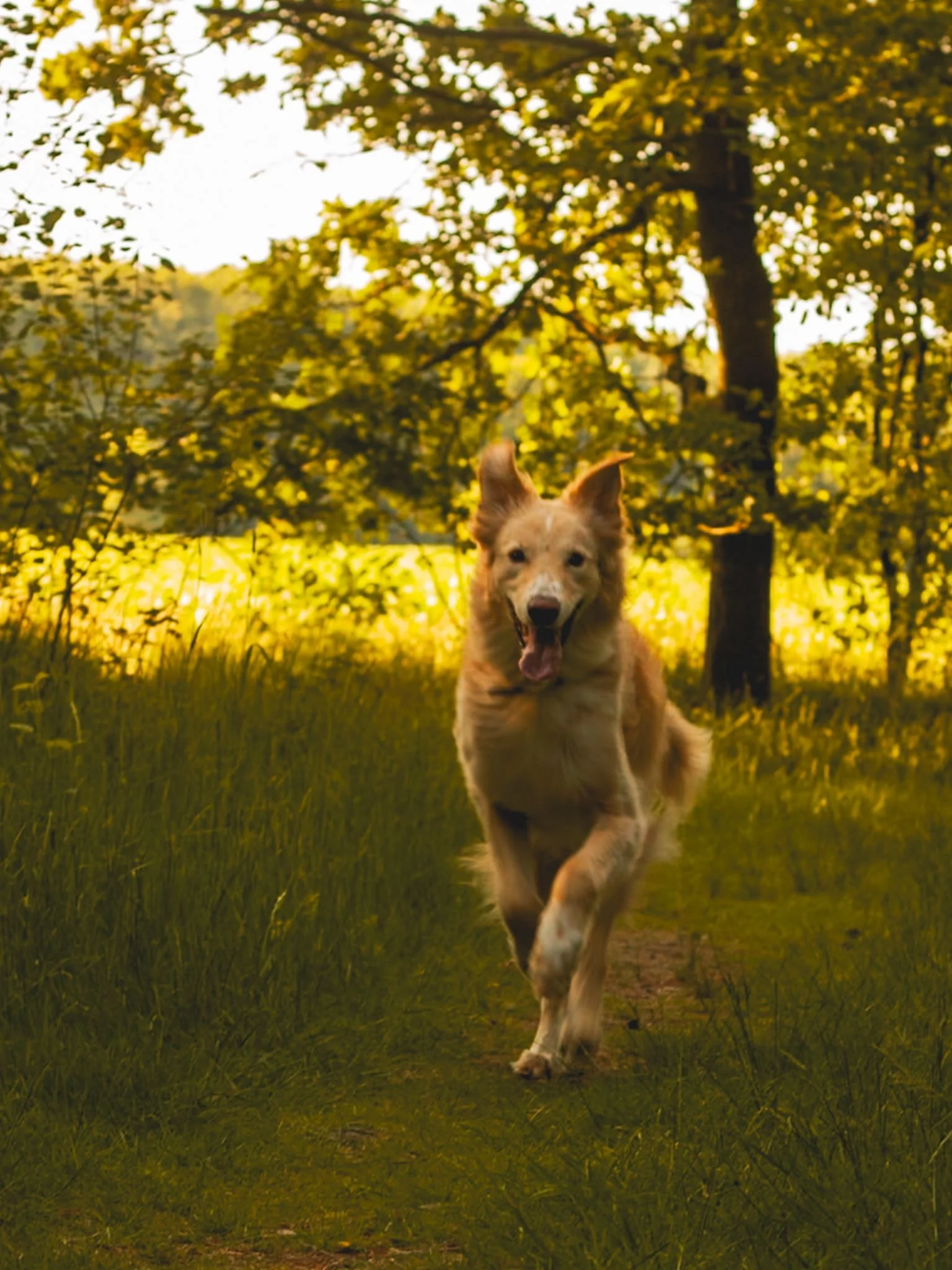 Beschäftigung Hamburg