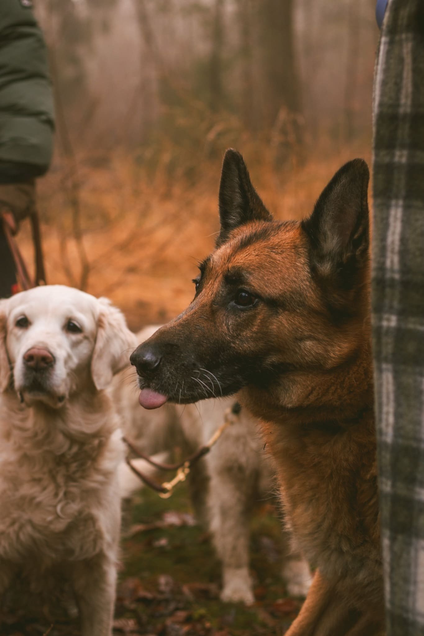 Gruppentraining Hamburg