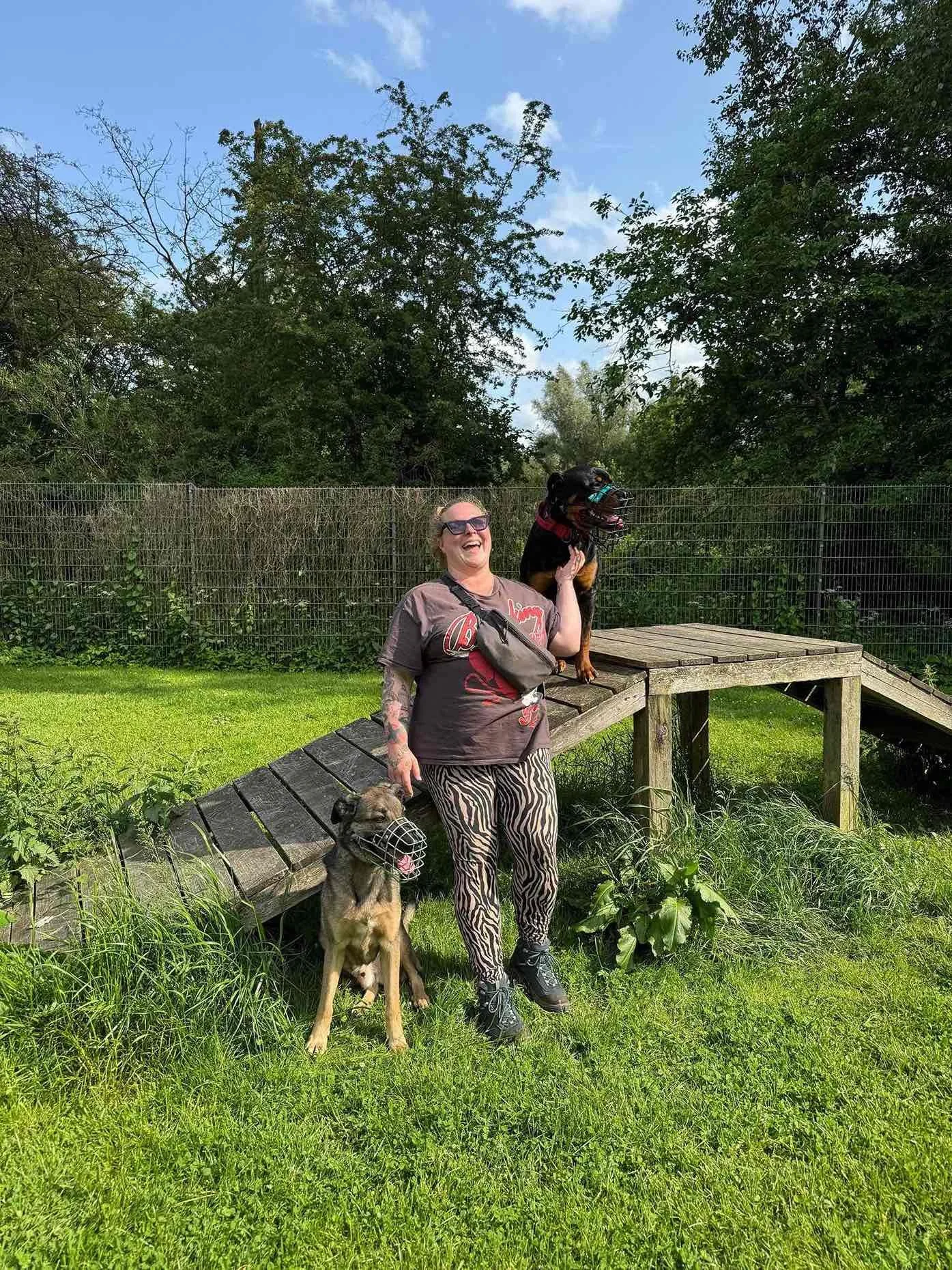 Hundetraining Hamburg