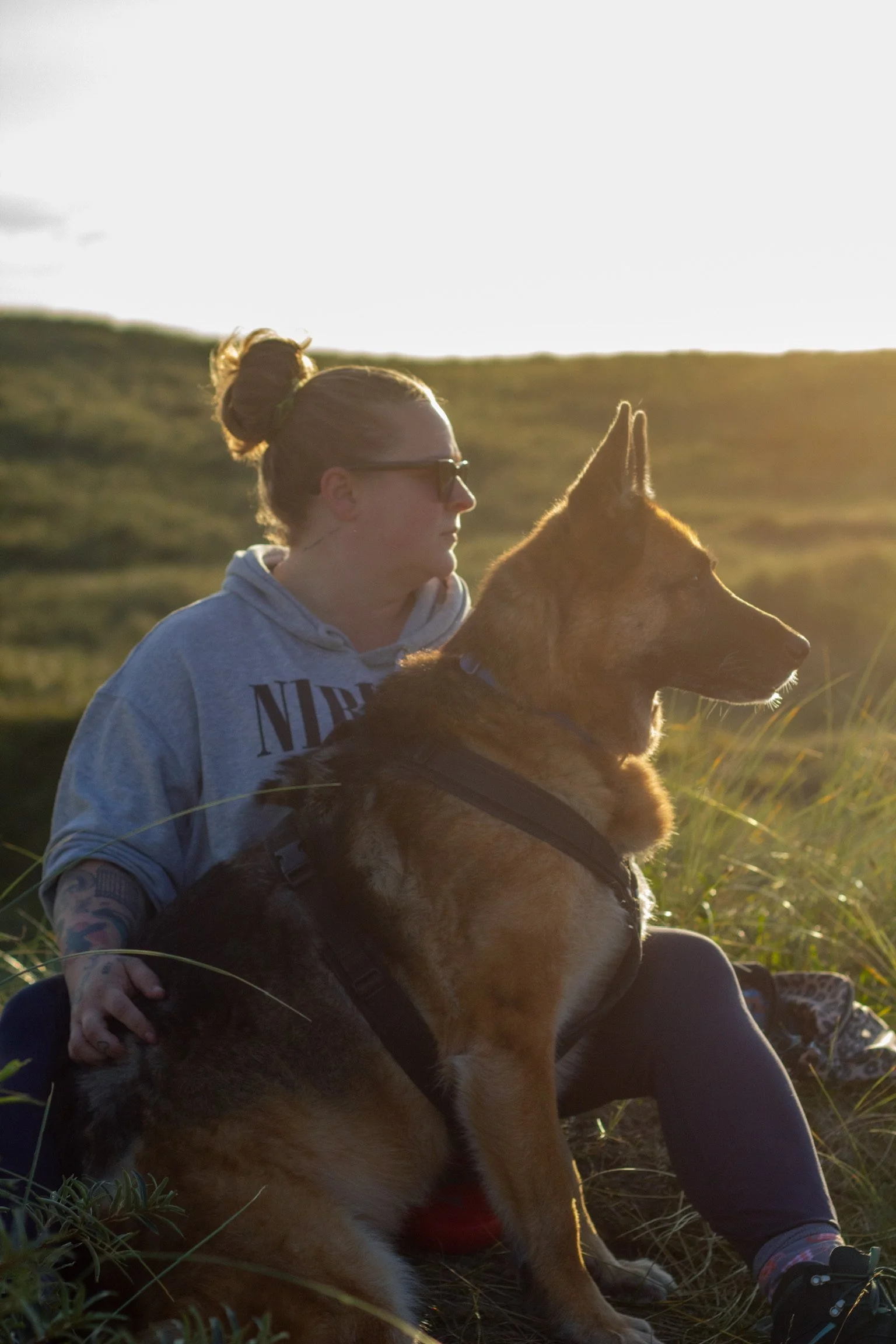 Hundetrainer Hamburg