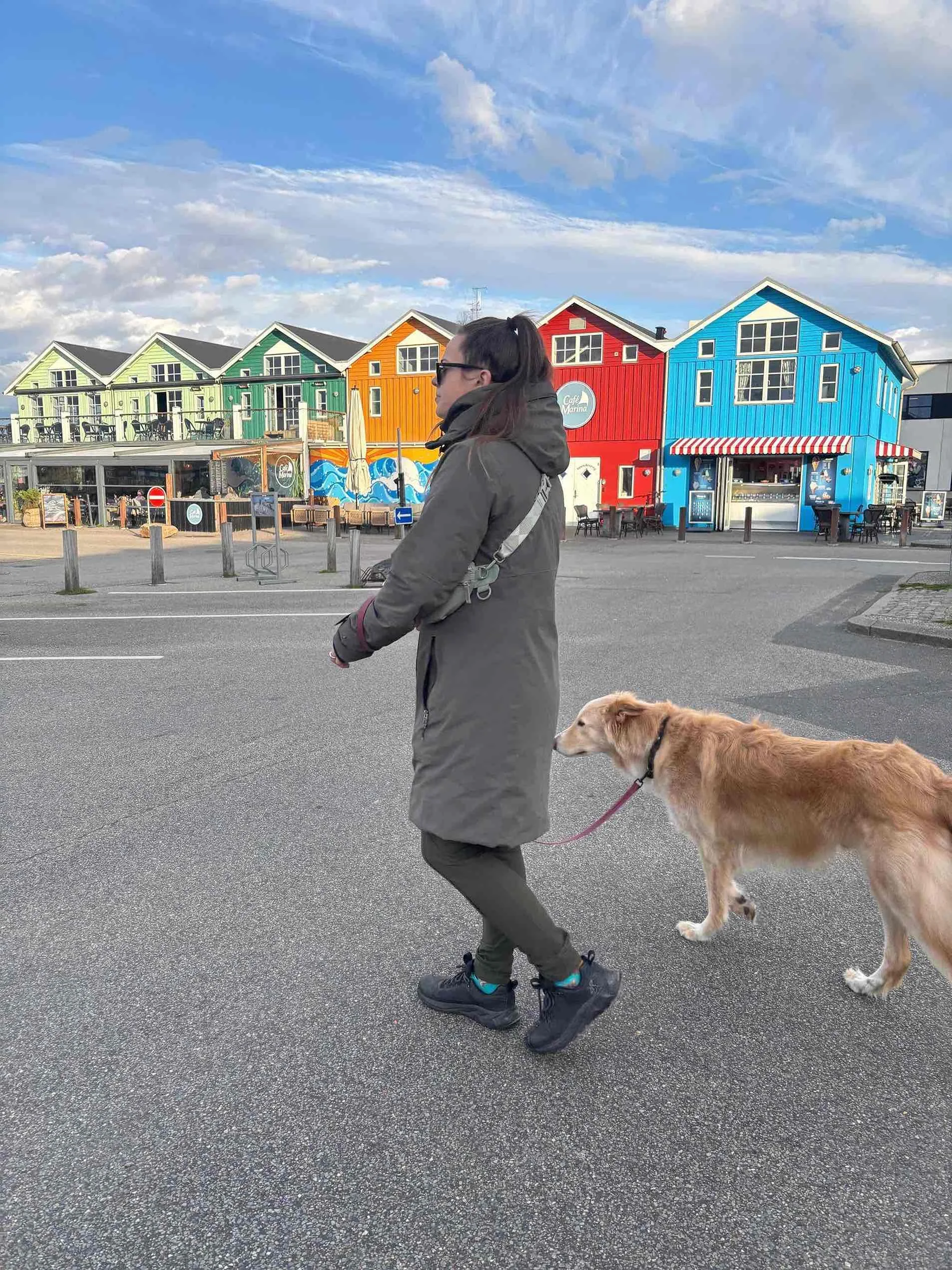 Leinenführigkeit Hamburg