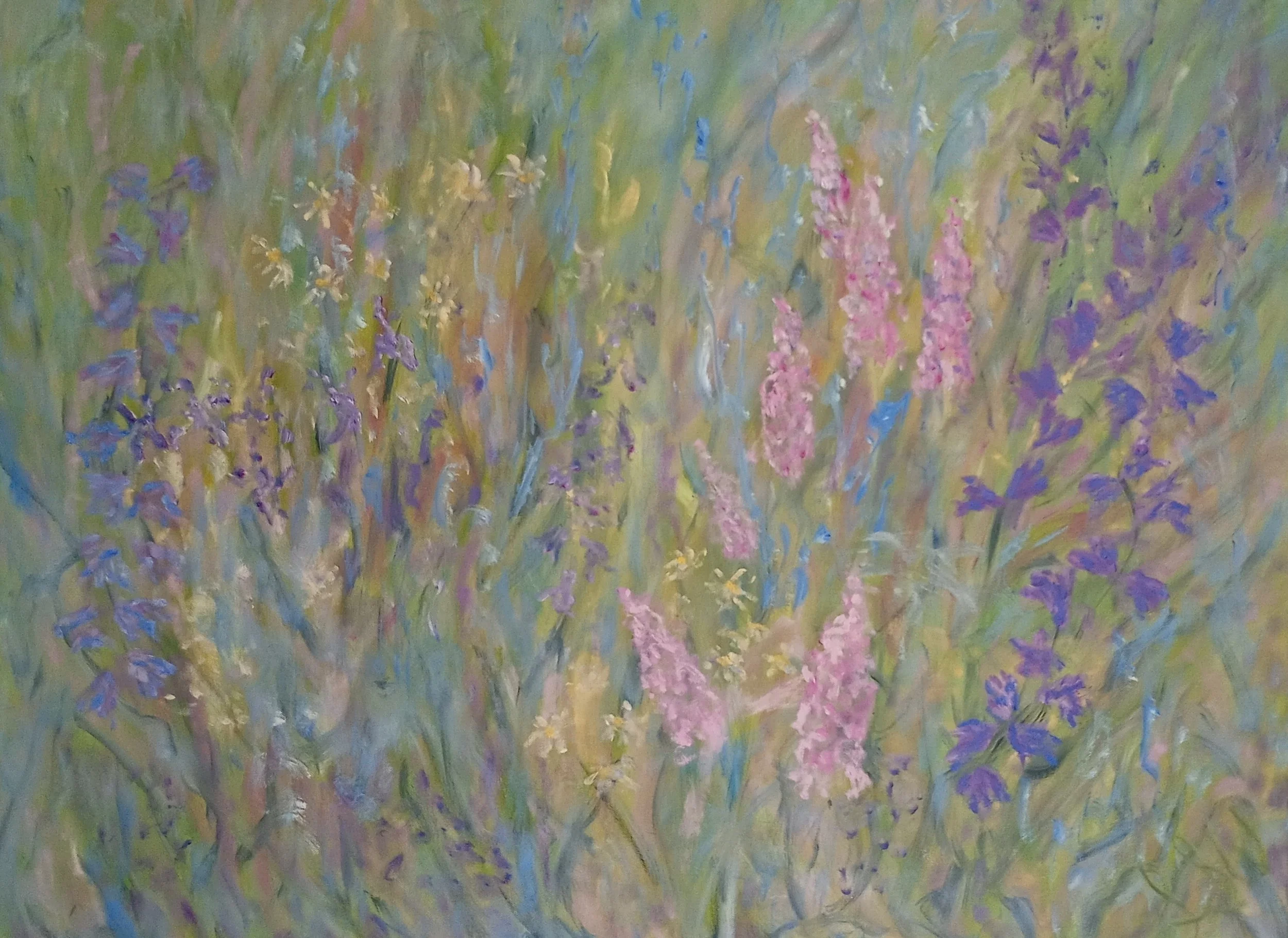 The Shape of Summer Lesley Williams.jpg
