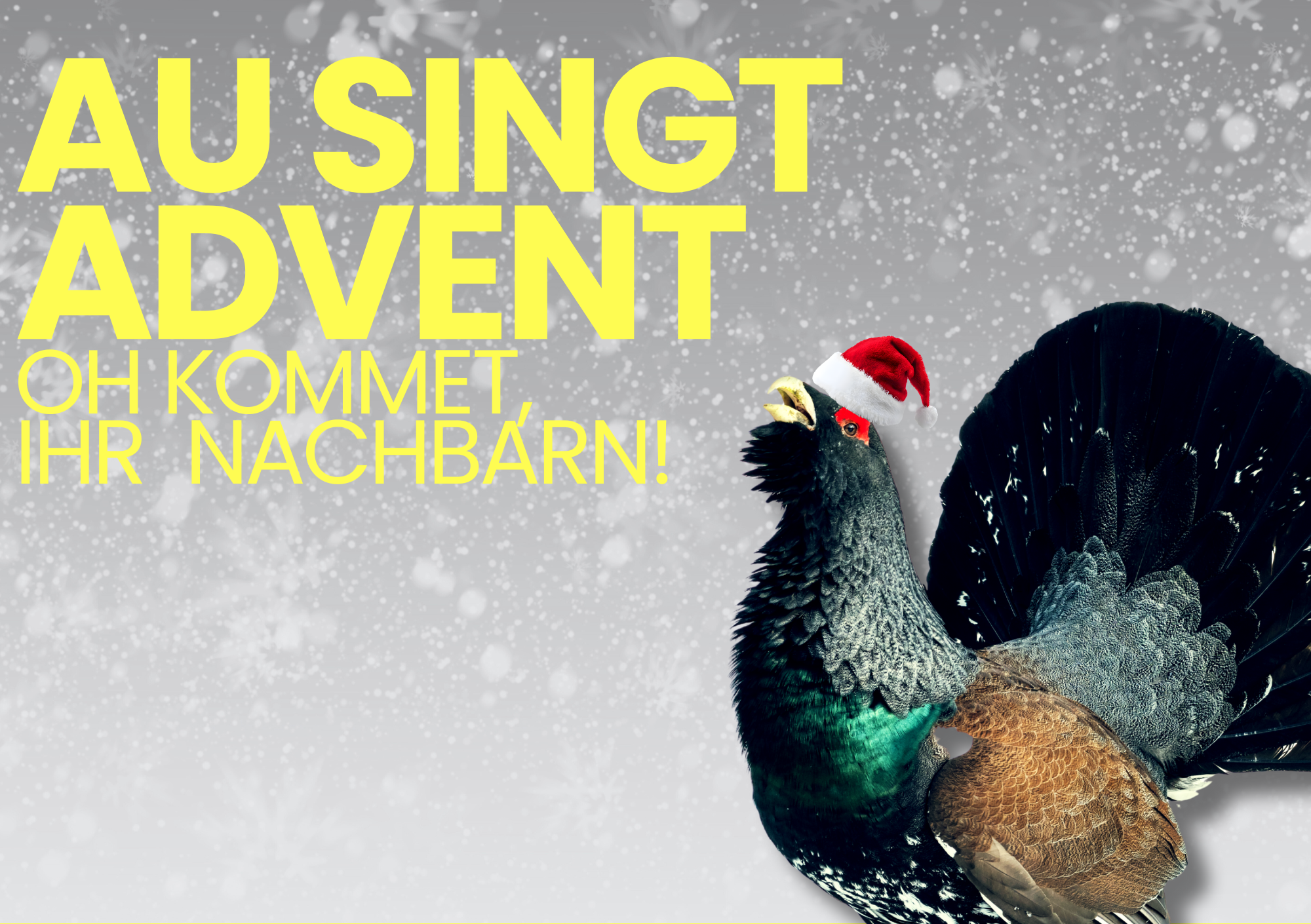 Au singt Advent!