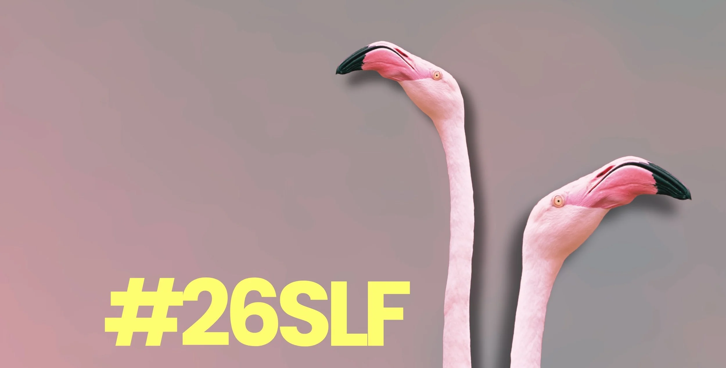 Stadt-Land-Fluss-Festival 2026