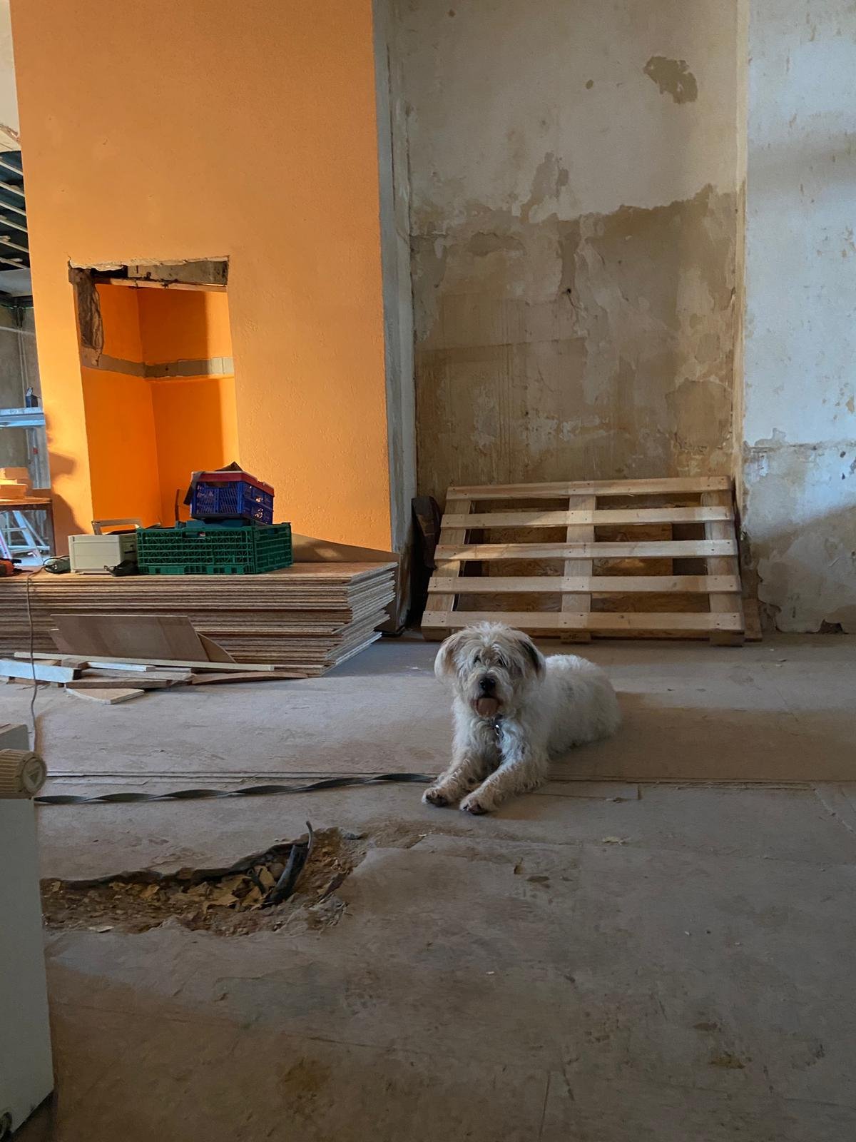 WhatsApp Image 2025-12-13 at 17.10.14 (1).jpeg