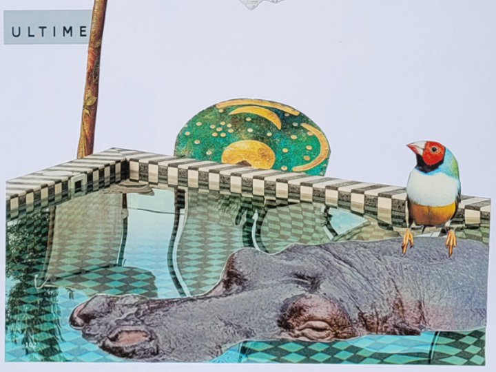 KUNST-WORKSHOP mit Annette Jünger: PAPIER-COLLAGE