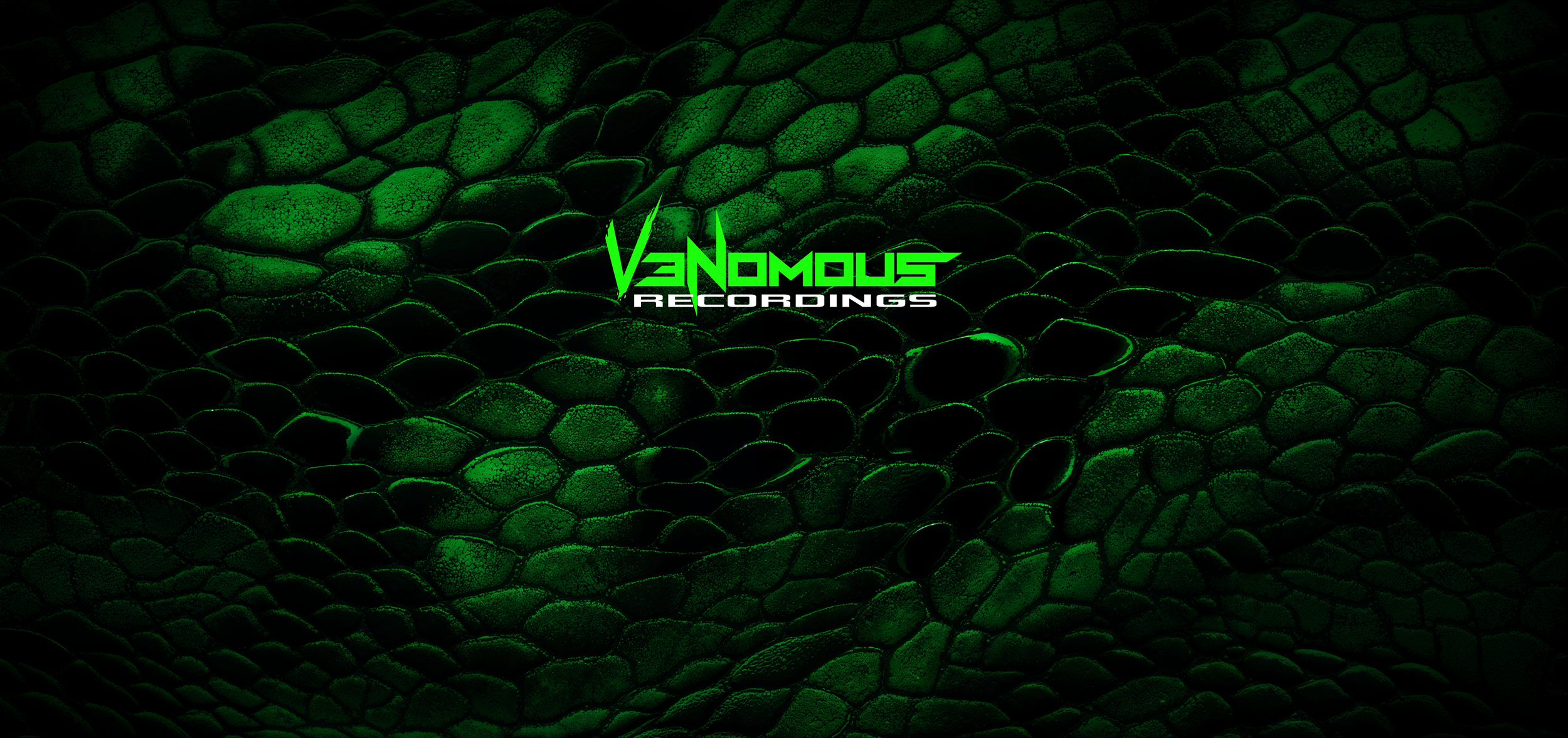 V3NOMOUS background-9.png