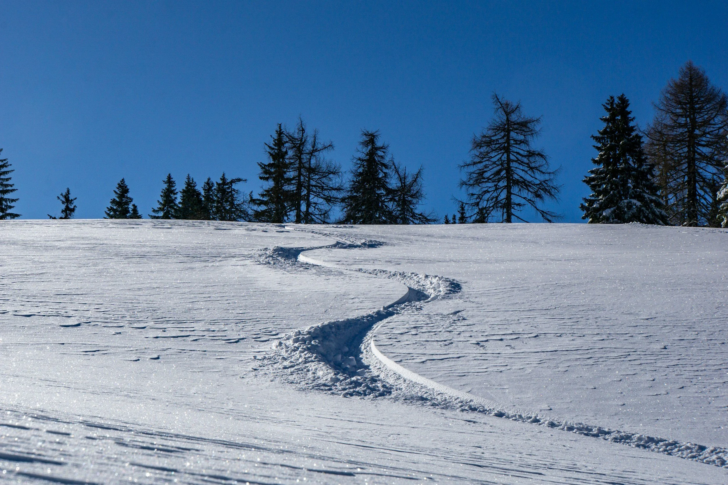 Hit the Slopes