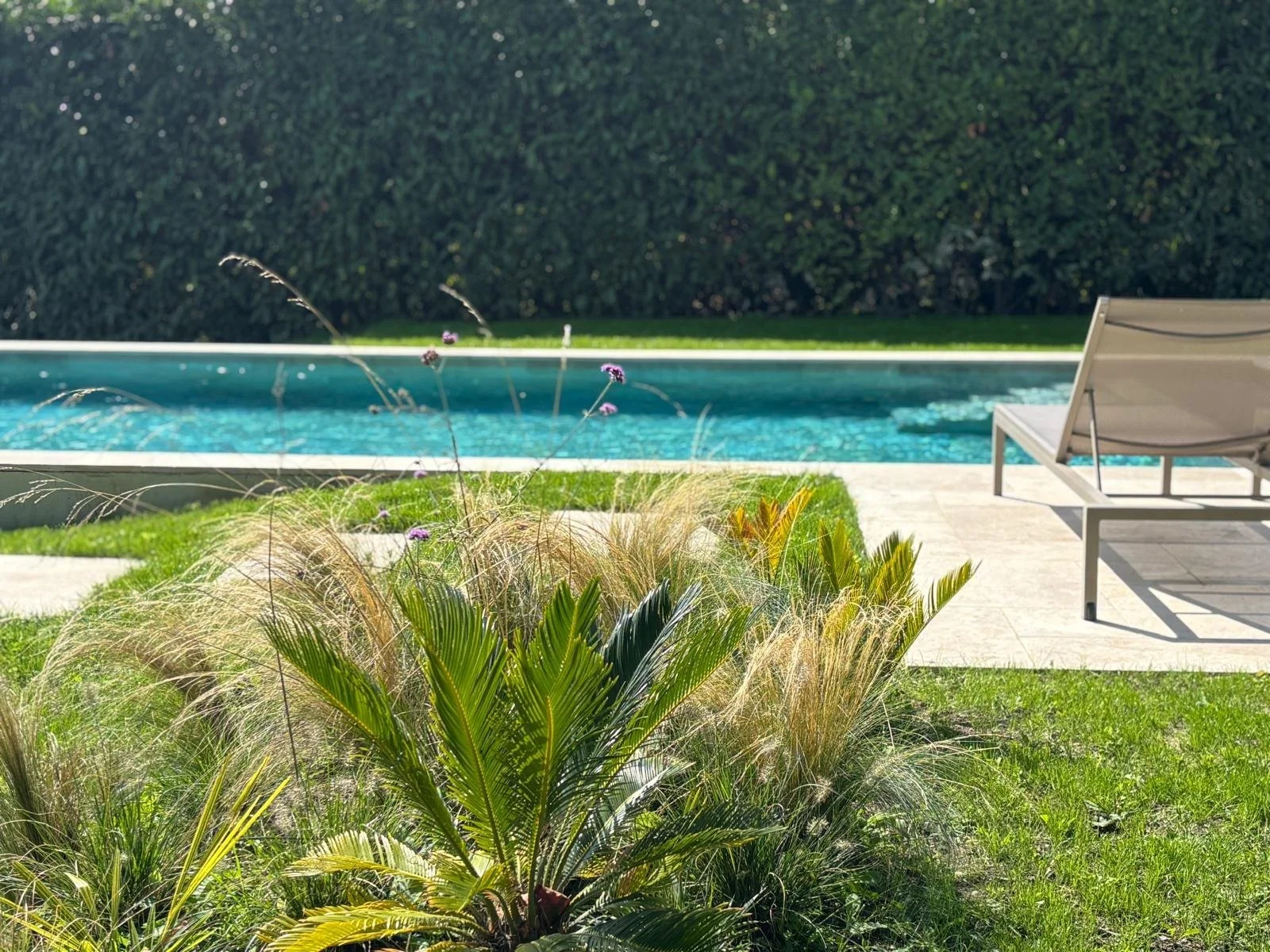 WhatsApp Image 2025-09-15 at 15.43.40_710623ac.jpg