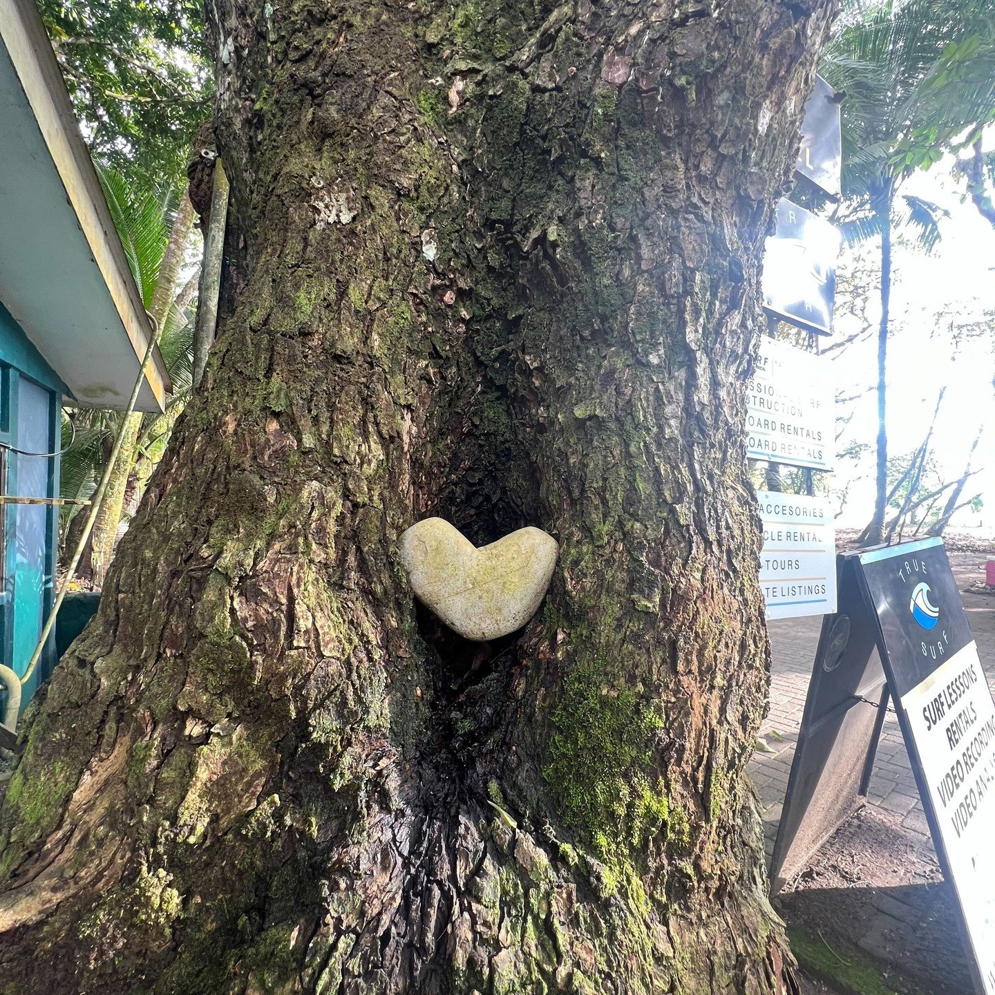 Happy World Kindness Day! Kindness has a way of rooting itself in everything we do. We&rsquo;re celebrating the heart at the core of Kilowatt Events: choosing to be approachable, supportive, and kind &ndash; today and every day 💛

#worldkindnessday