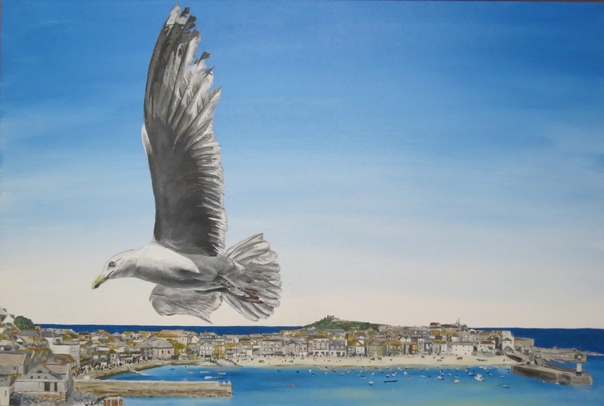 St Ives Seagull #3
