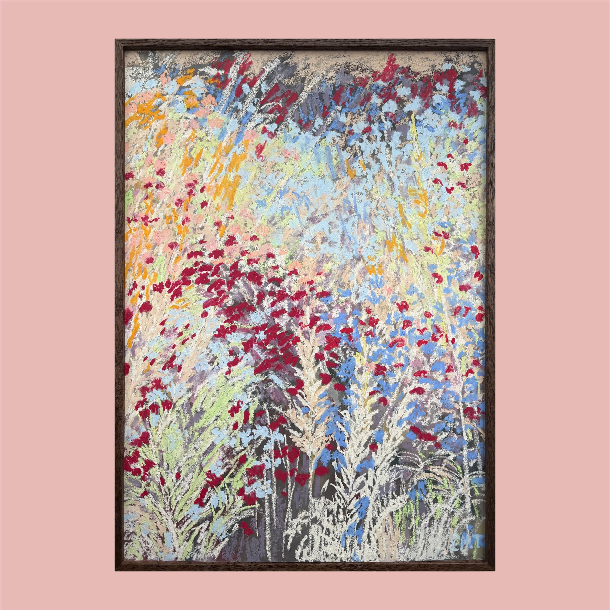 Variety of Asters (50x70cm Framed)