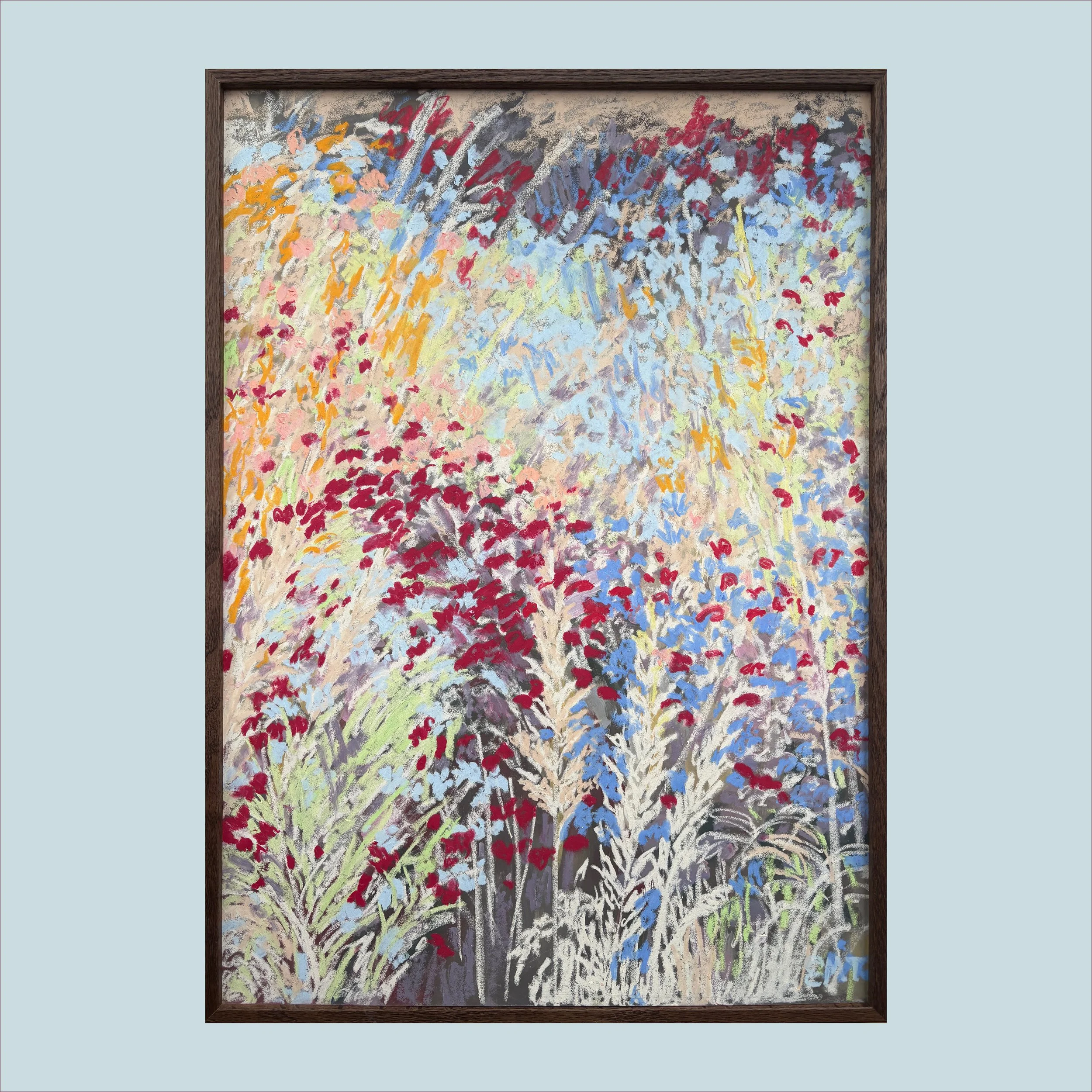 Variety of Asters (50x70cm)