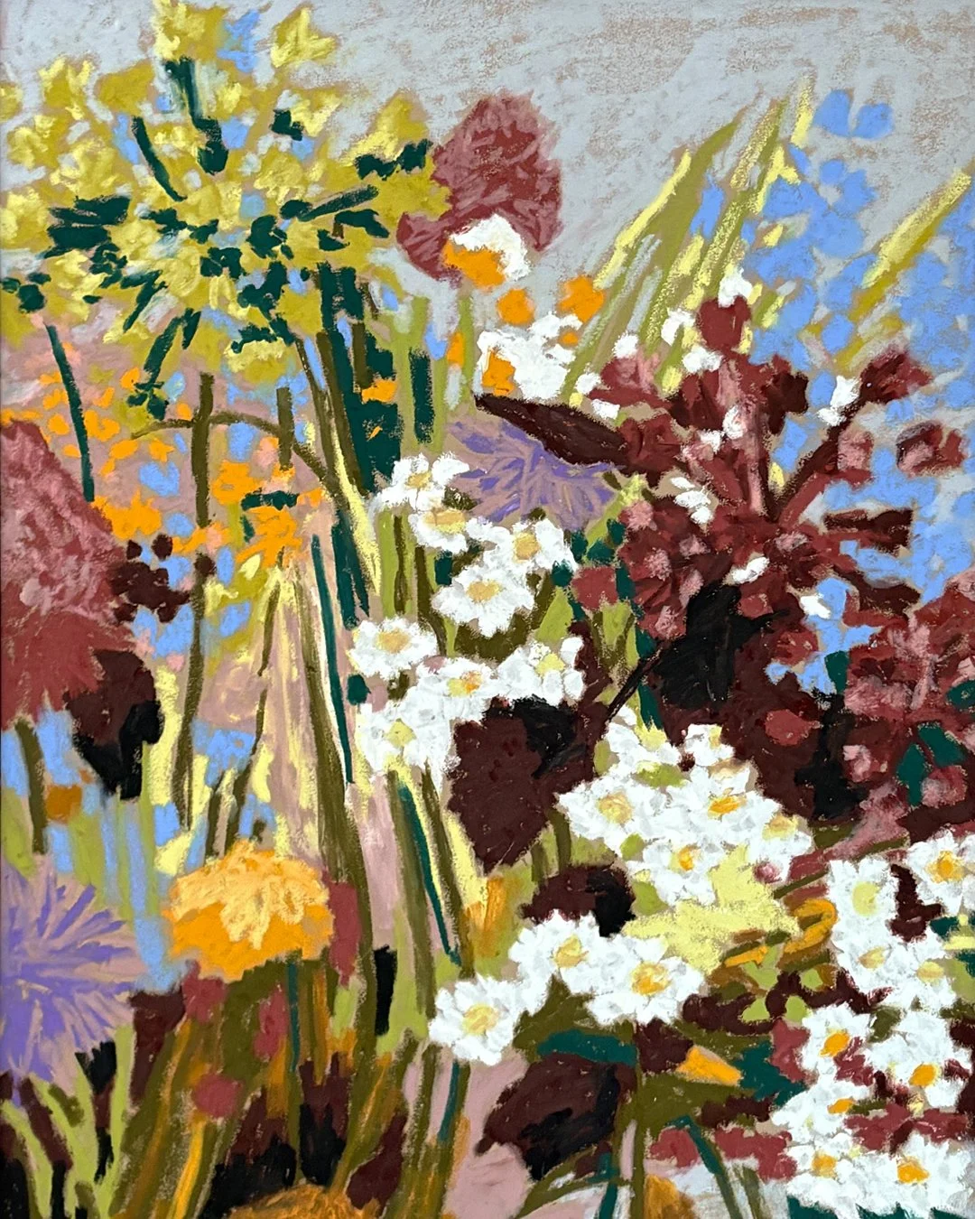 Top Banner_0000_IMG_4485.jpg