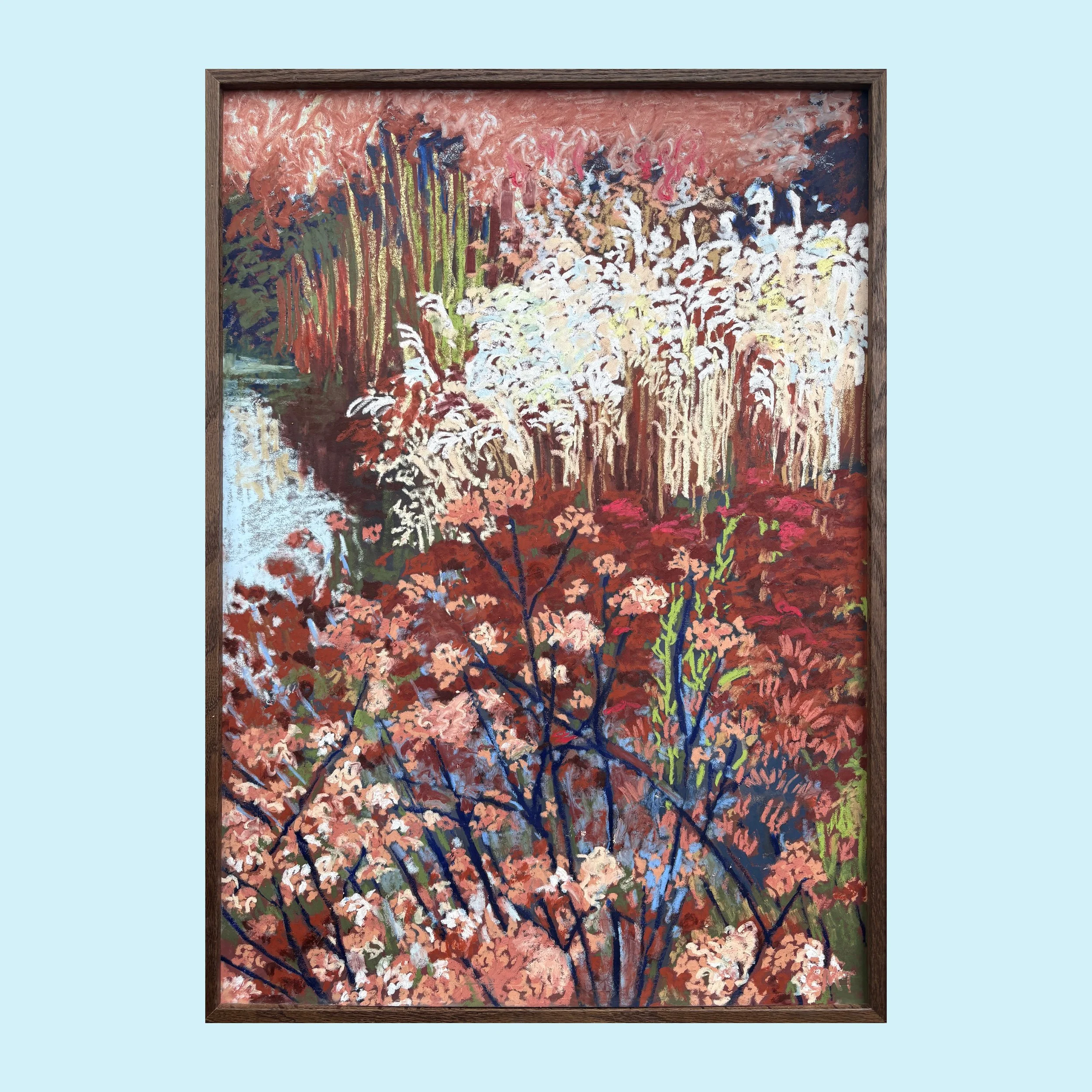 Purpletop Verbena and Miscanthus (50x70cm)