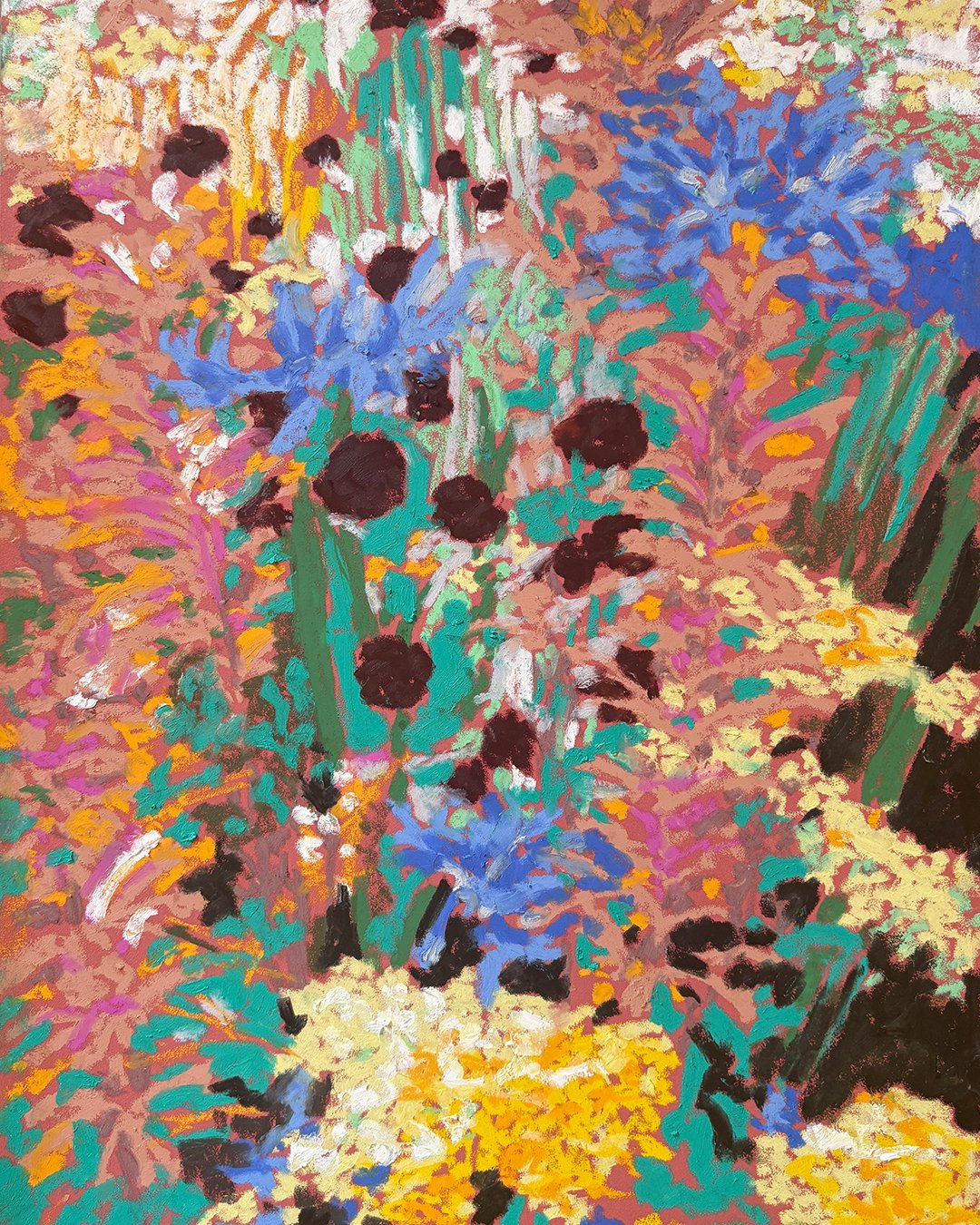 Top Banner_0005_IMG_3990.jpg