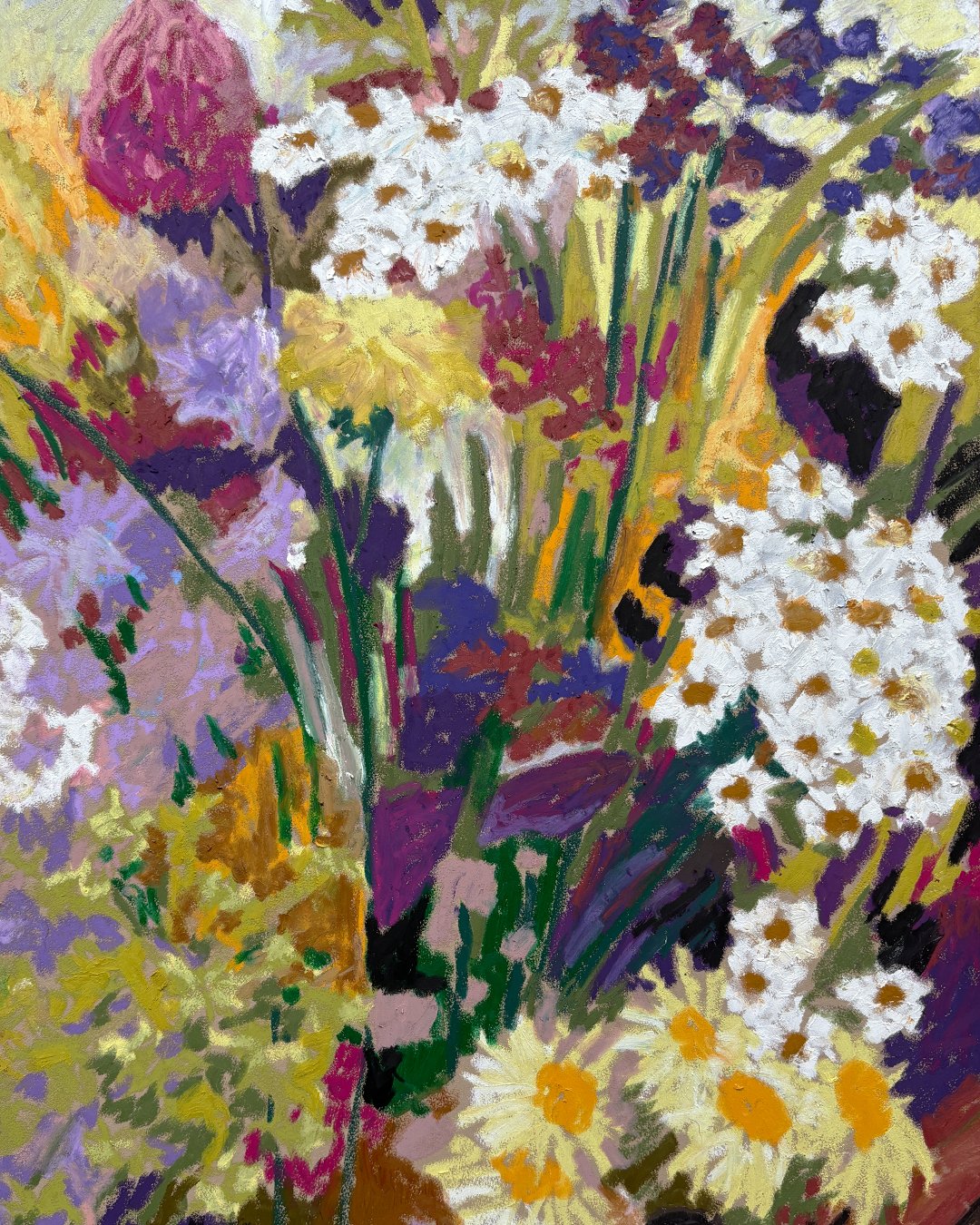 Top Banner_0003_IMG_4225.jpg