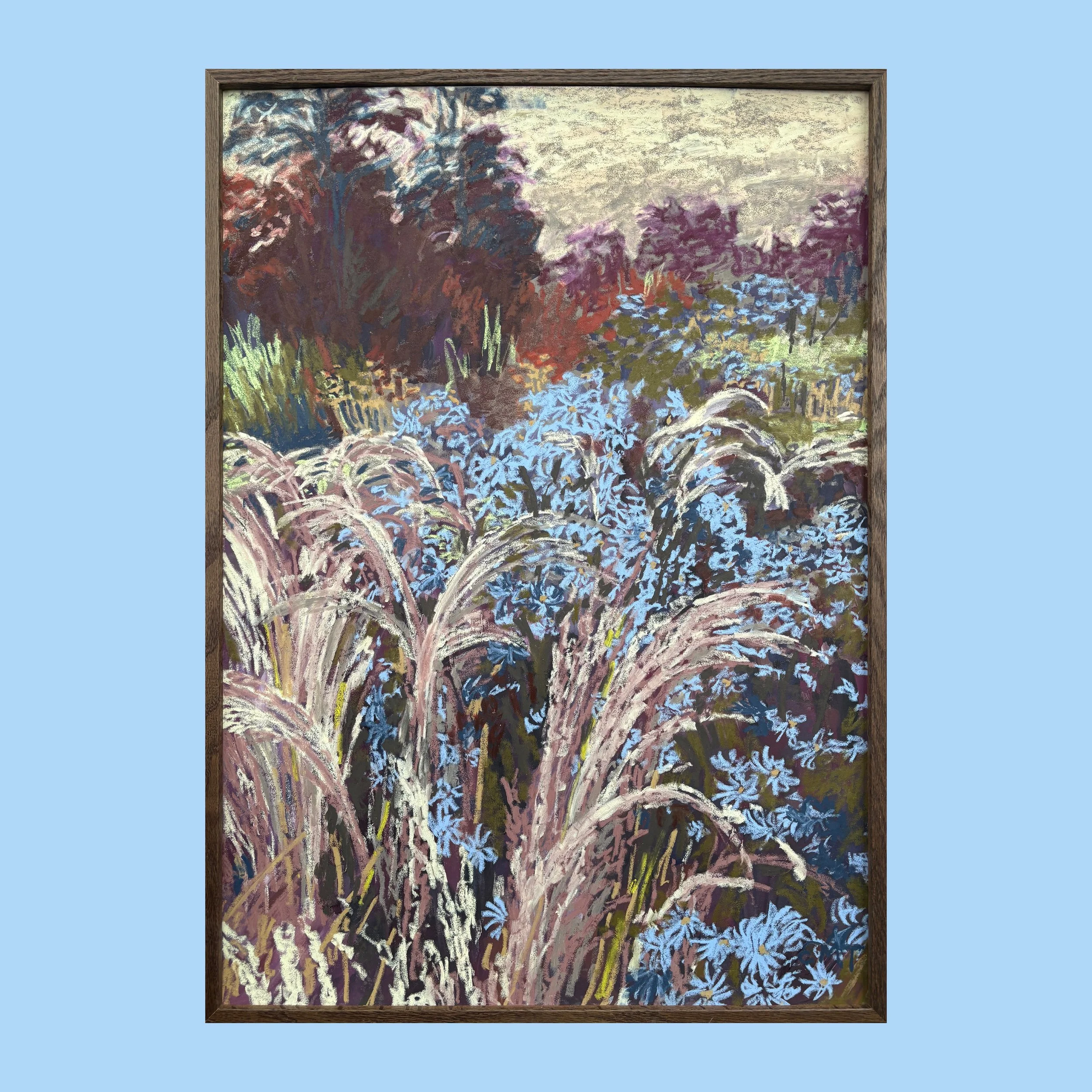 Aster and Silver Grass (50x70cm Framed)