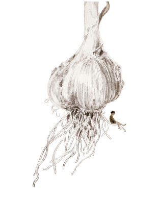Garlic and deep dark thoughts to ruined them