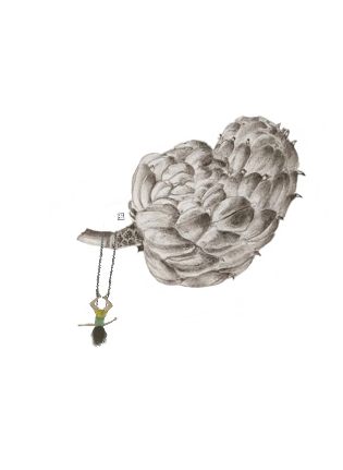 Swing on magnolia seed