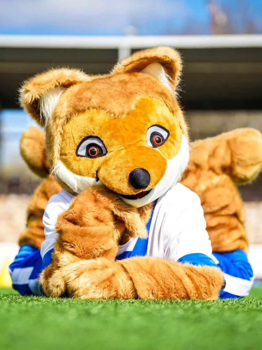 K U N N A R I K E T T U kutsuu 4-6 -vuotiaat lapset pesisliikkariin &quot;Ota kaveri mukaan&quot;-treeneihin torstaina 27.11. klo 17:45-18:30 🦊

Treenit pidet&auml;&auml;n Uotilan palloiluhallilla yhdess&auml; Kunnariketun kanssa. Tule mukaan liikku