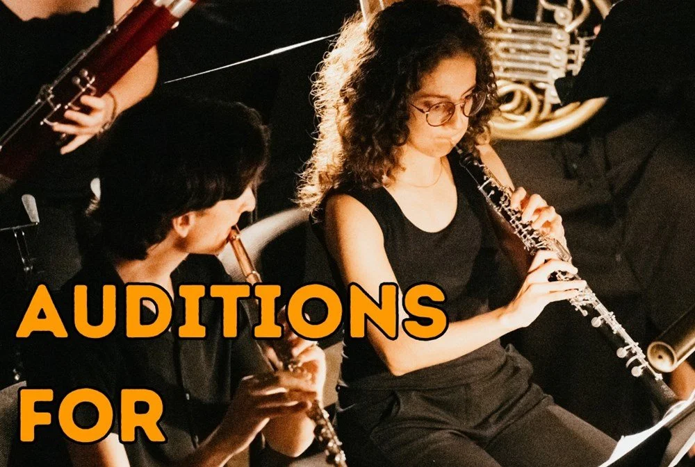 Audizioni dell'Opera Studio per strumentisti! ISCRIZIONI APERTE