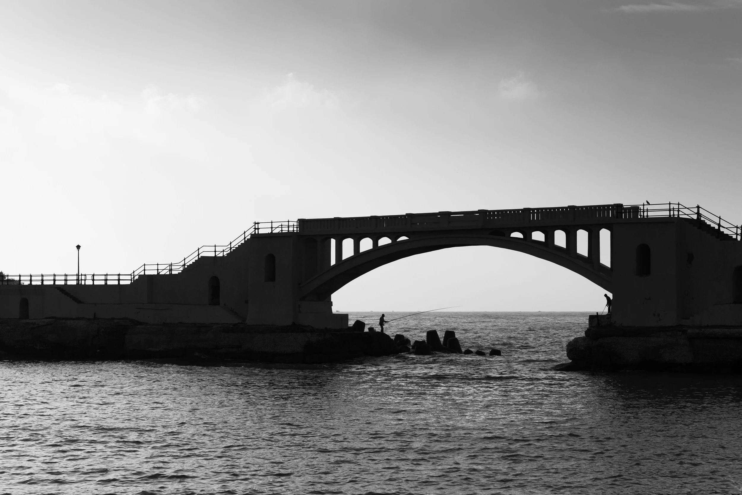 Echo 6: The Story That Learned to Walk Alone