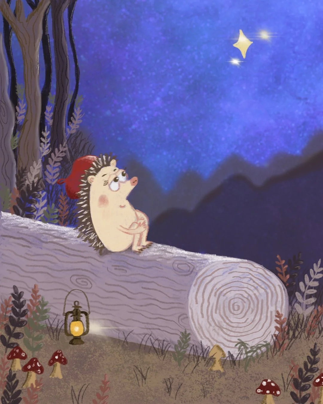 Woodland Stories & Illustrated Wellbeing