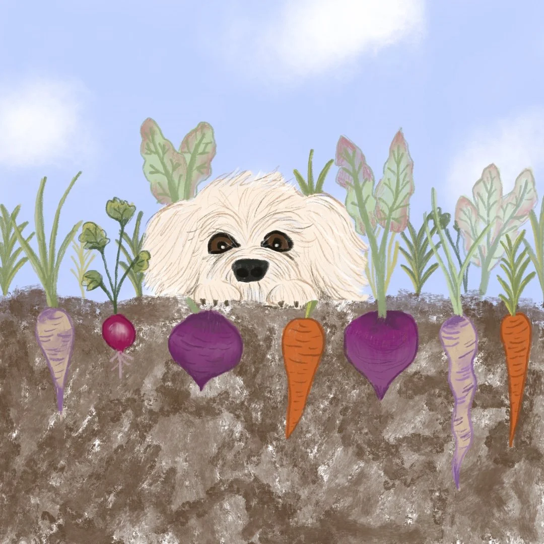 Root_Vegetables.jpg