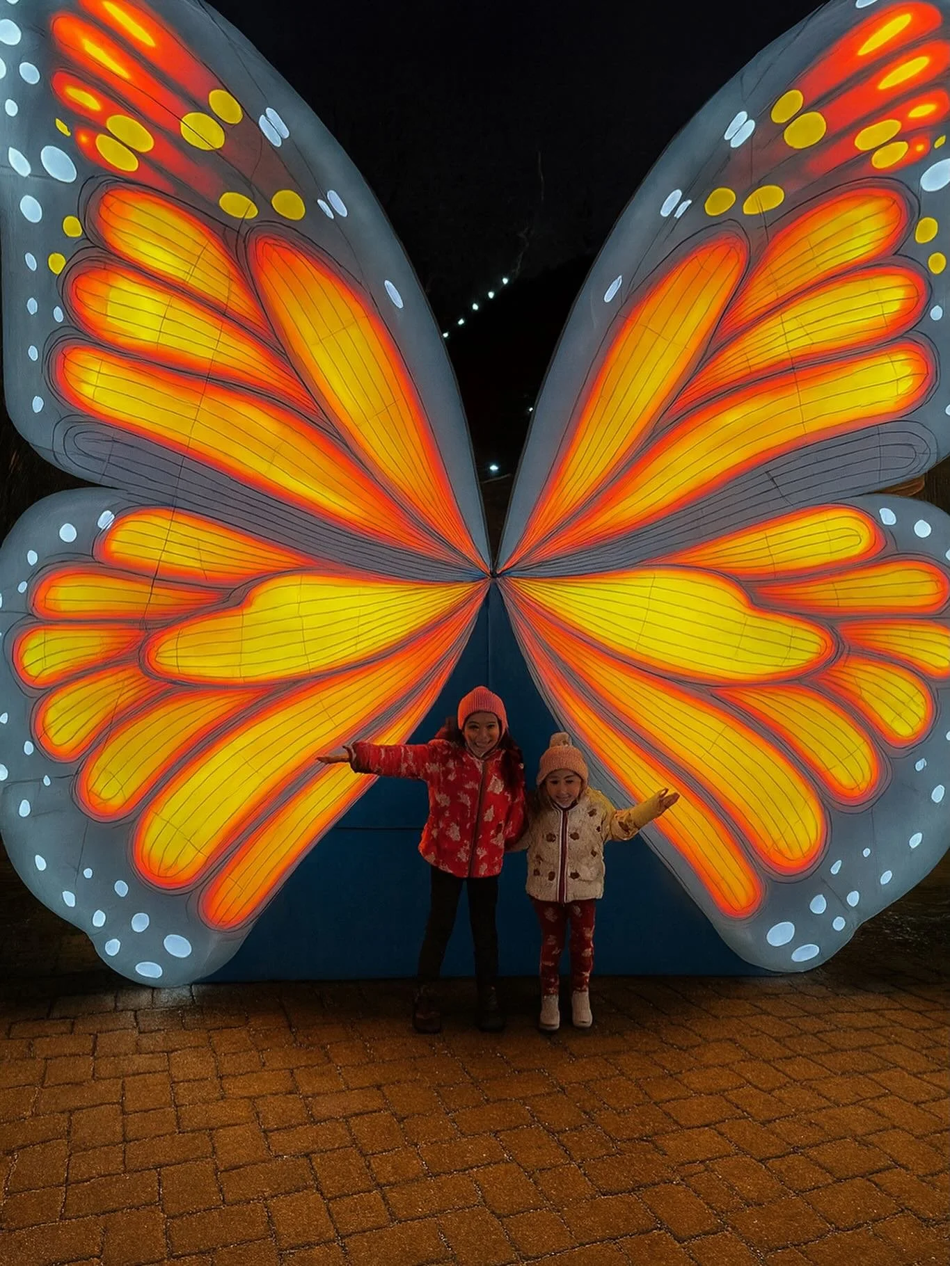 🦋 Helping children find their wings.

At Growing Nurtured Minds, we support learners with dyslexia, executive function challenges, attention differences, and more&mdash;so they can grow with confidence, resilience, and joy.

Because when children fe