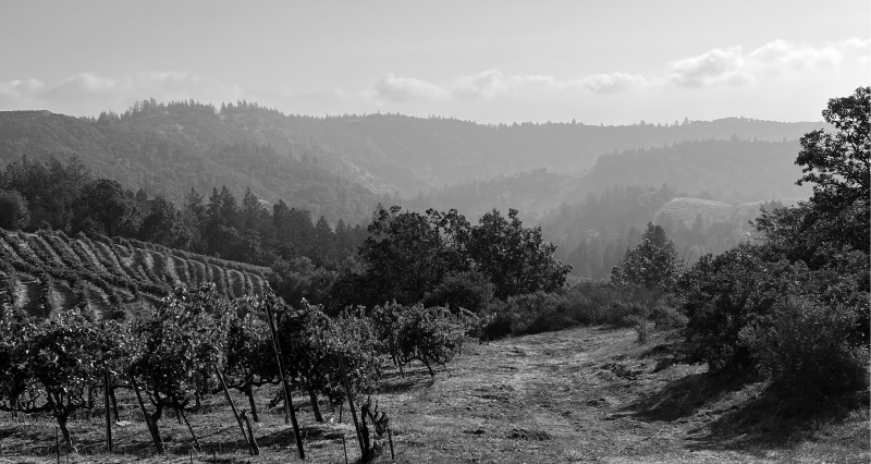 Ceritas-Wines-Napa-Valley-image_set_1_img_1-21978-medium.png