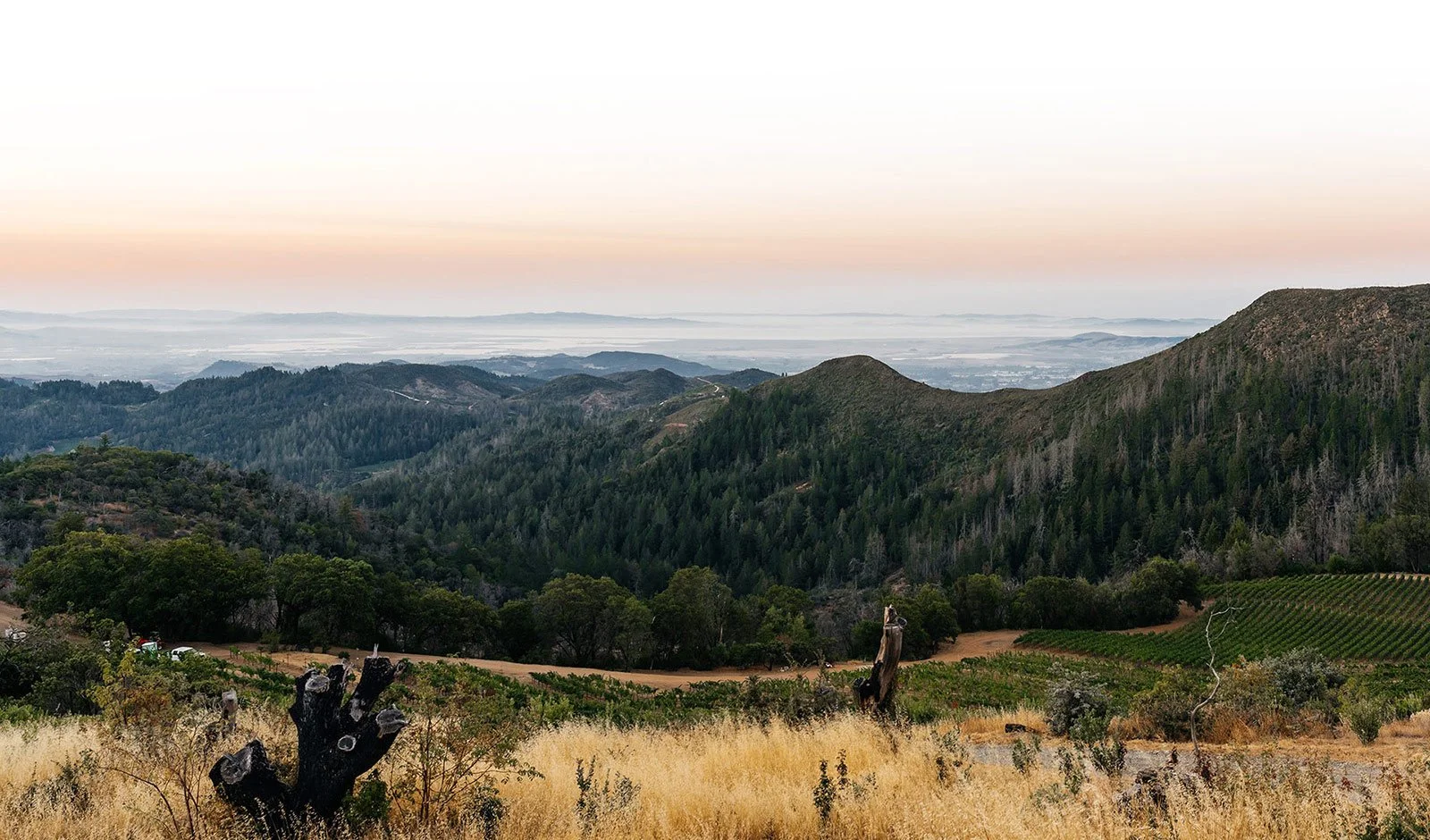 Mayacamas-View-1600x940-1.jpg