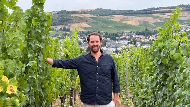 Willems Willems vineyard.jpg