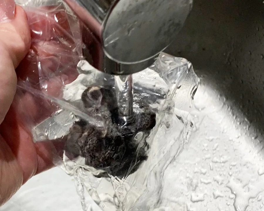 unfrozen the truffle