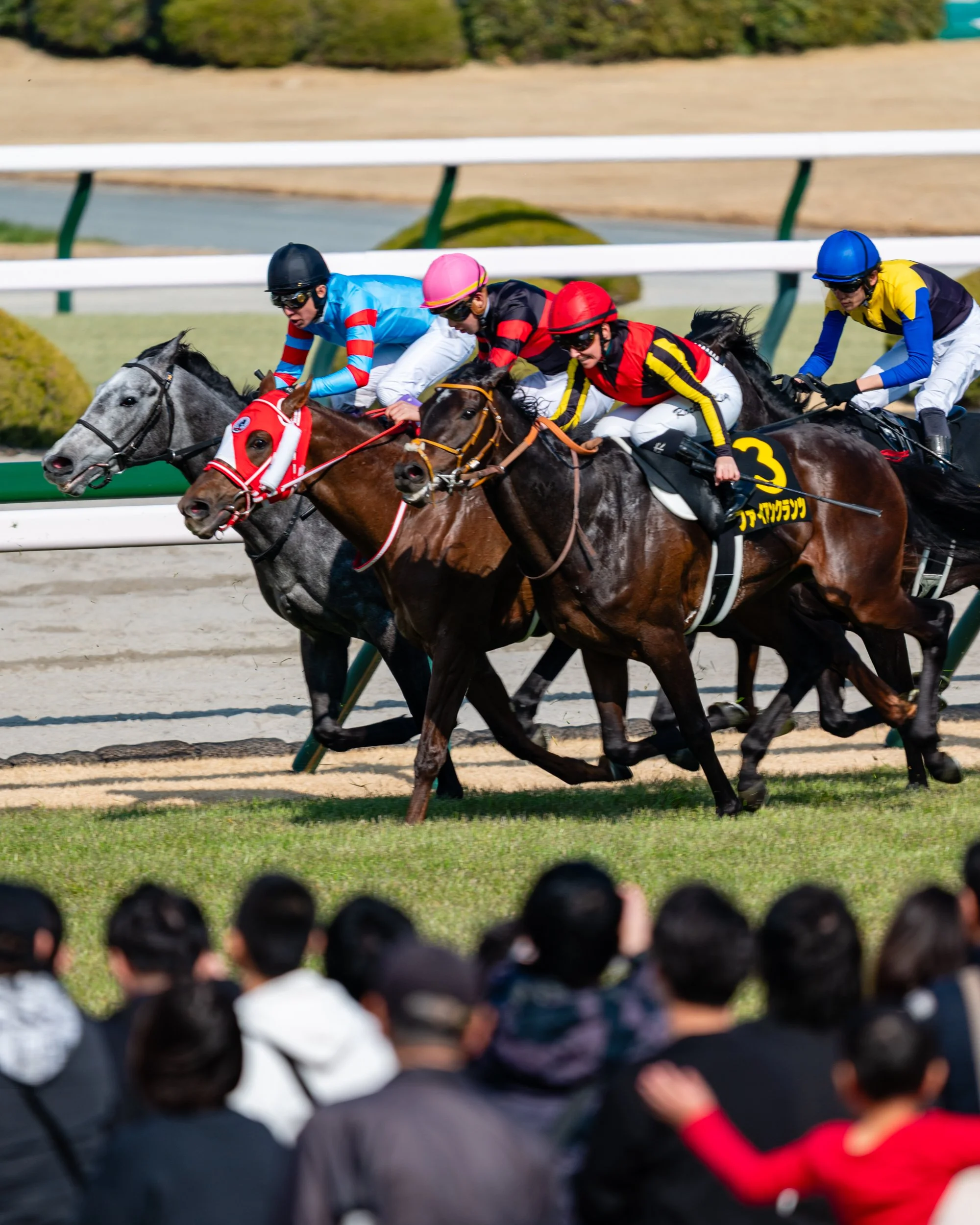 JRA Horse Racing