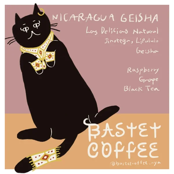 dripbag_Nicaragua_geisha.webp