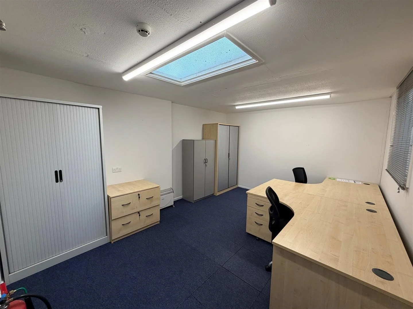 Empty office room with white walls, blue carpet, wooden desks, black office chairs, gray cabinets, a ceiling skylight, fluorescent lighting, and a window with blinds.