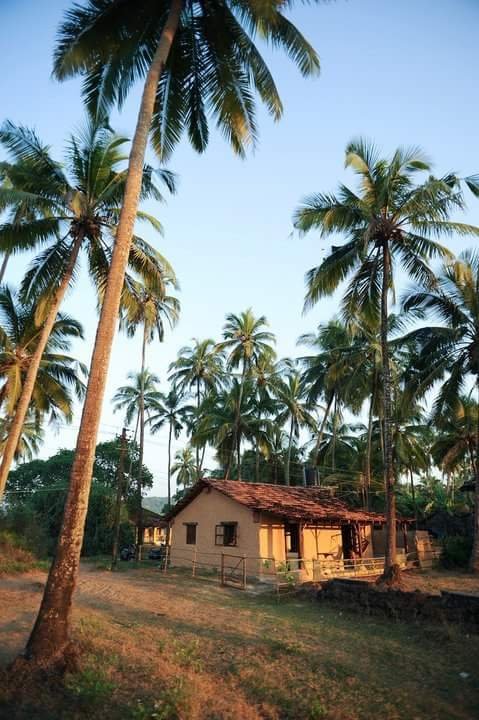 Restored from an old derelict South Anjuna pizza house from Goa's hippie days I created an old "adobe" look by throwing and smoothing wet cement onto the stone exterior walls and later painting them in a stone colour and "ragging" a slightly darker t
