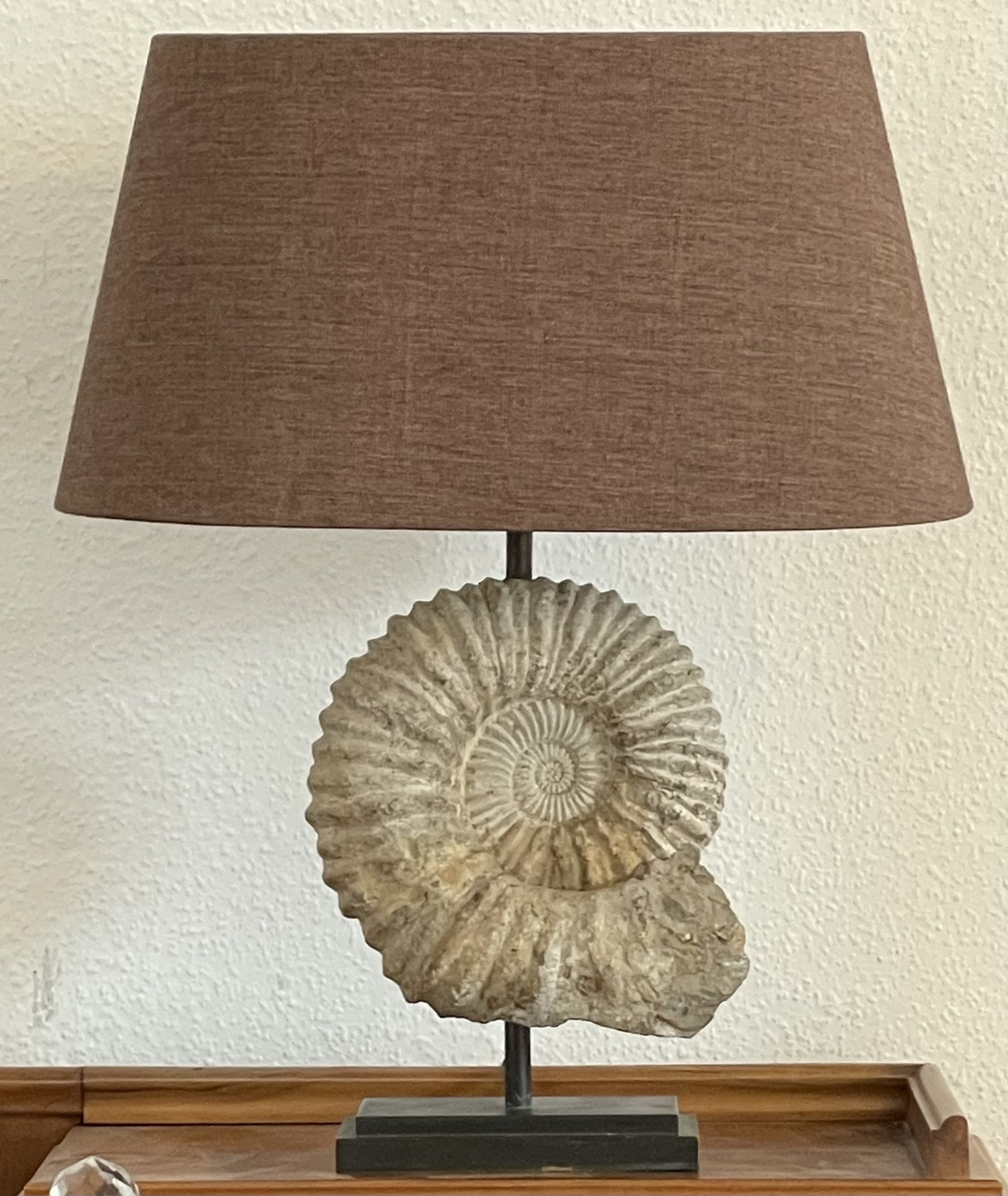 A heavy 30 million year old ammonite on a black patinated iron base and bespoke oval lampshade