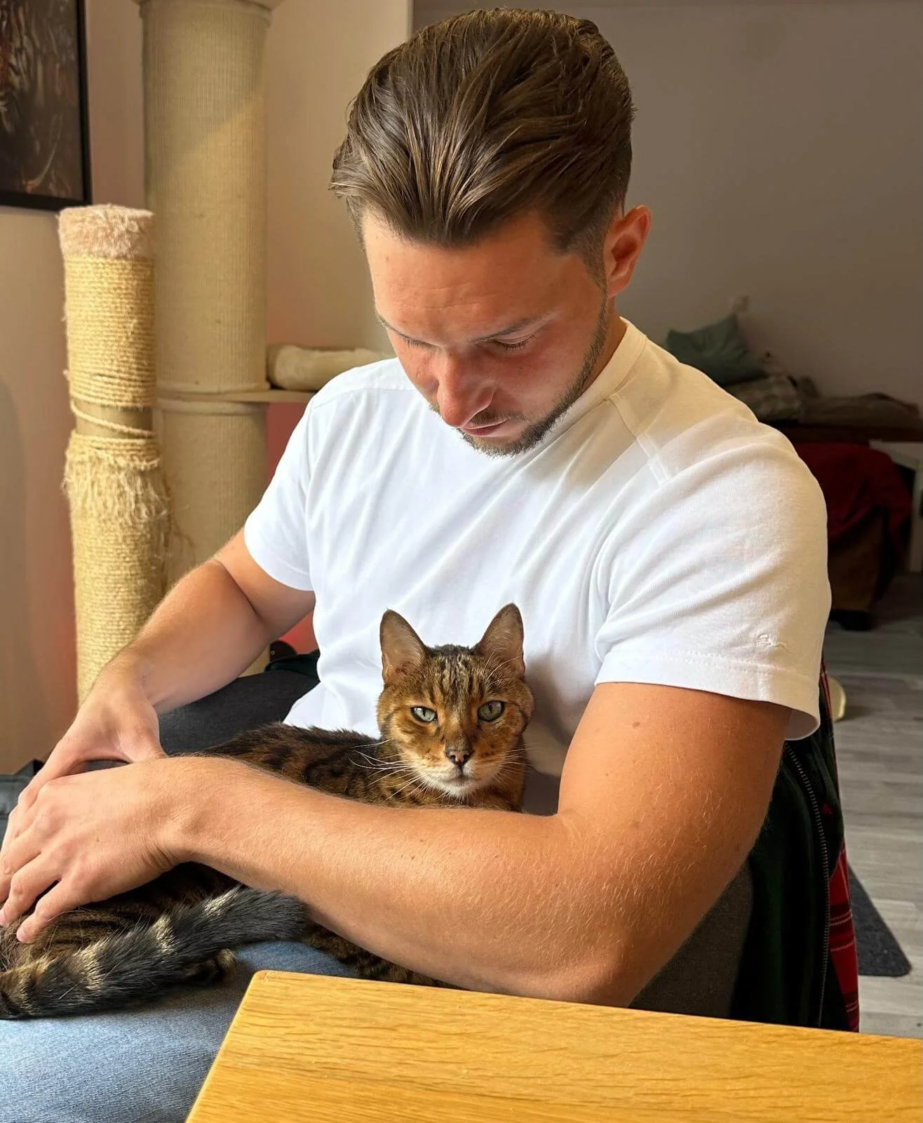 Sanftes Adjustment und Justierung für Katzen in der Tierchiropraktik Bonn.