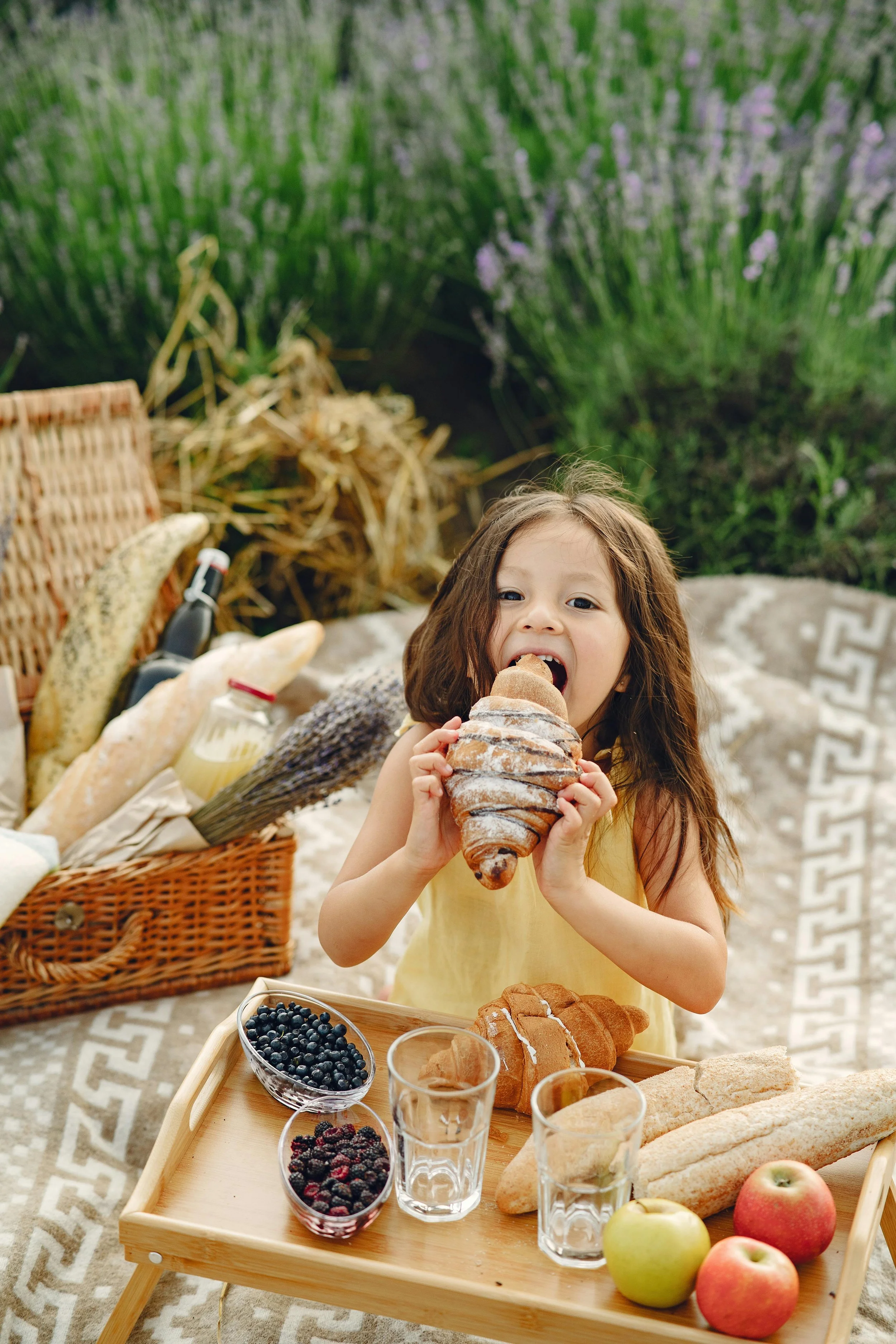 Balanced Picnic Food Ideas for T1D: Easy, Low Spike Meals for Families 